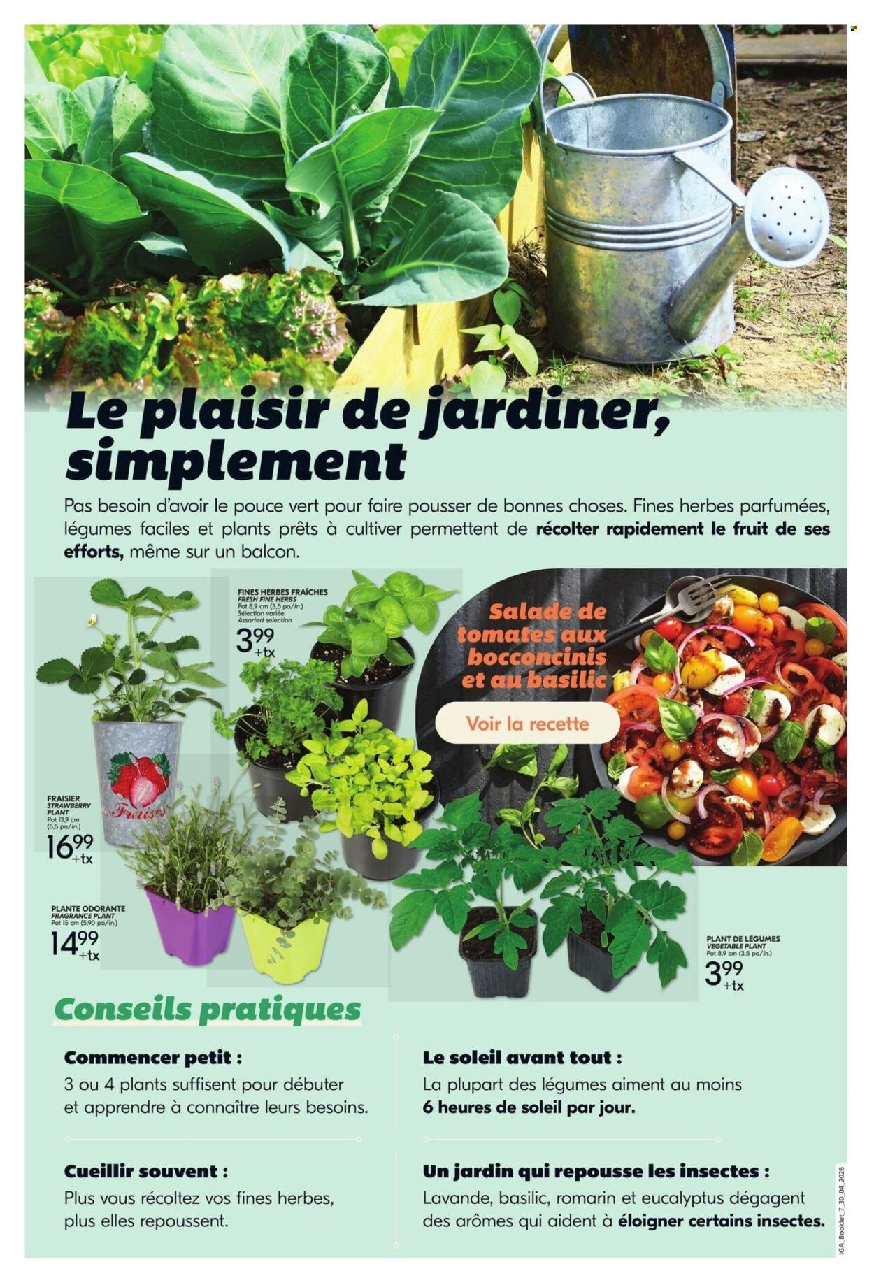 IGA flyer - Gardening Booklet