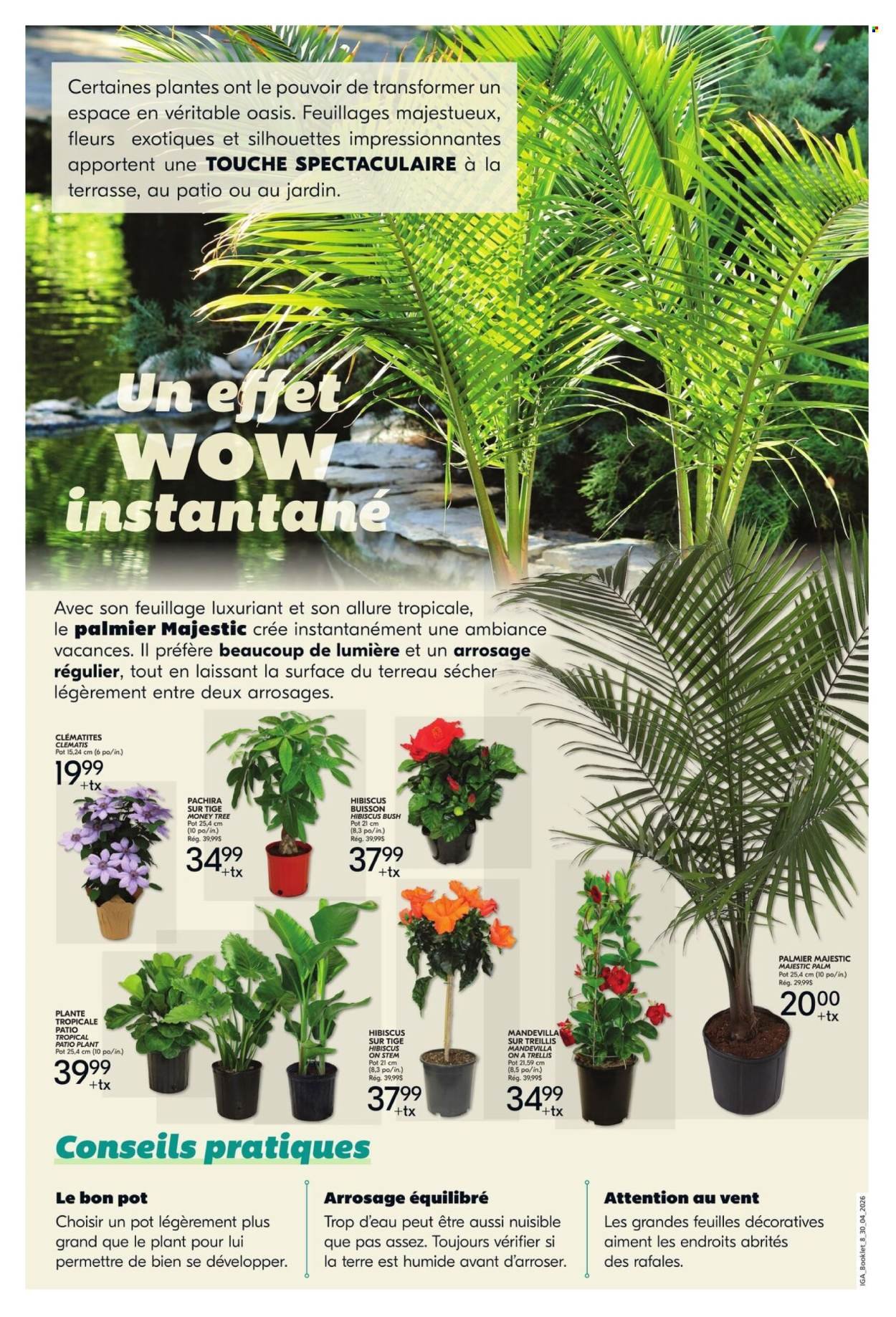 IGA flyer - Gardening Booklet