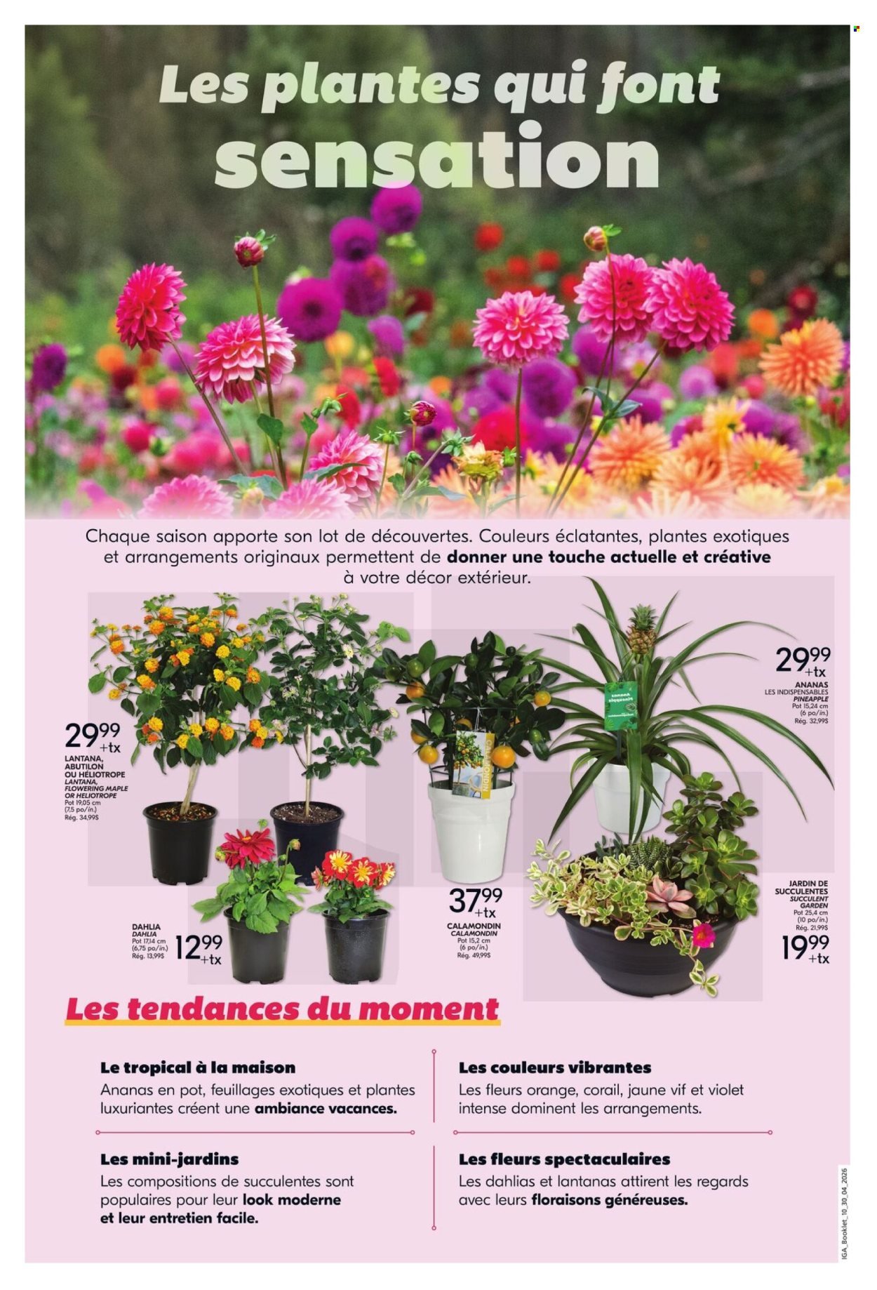 IGA flyer - Gardening Booklet