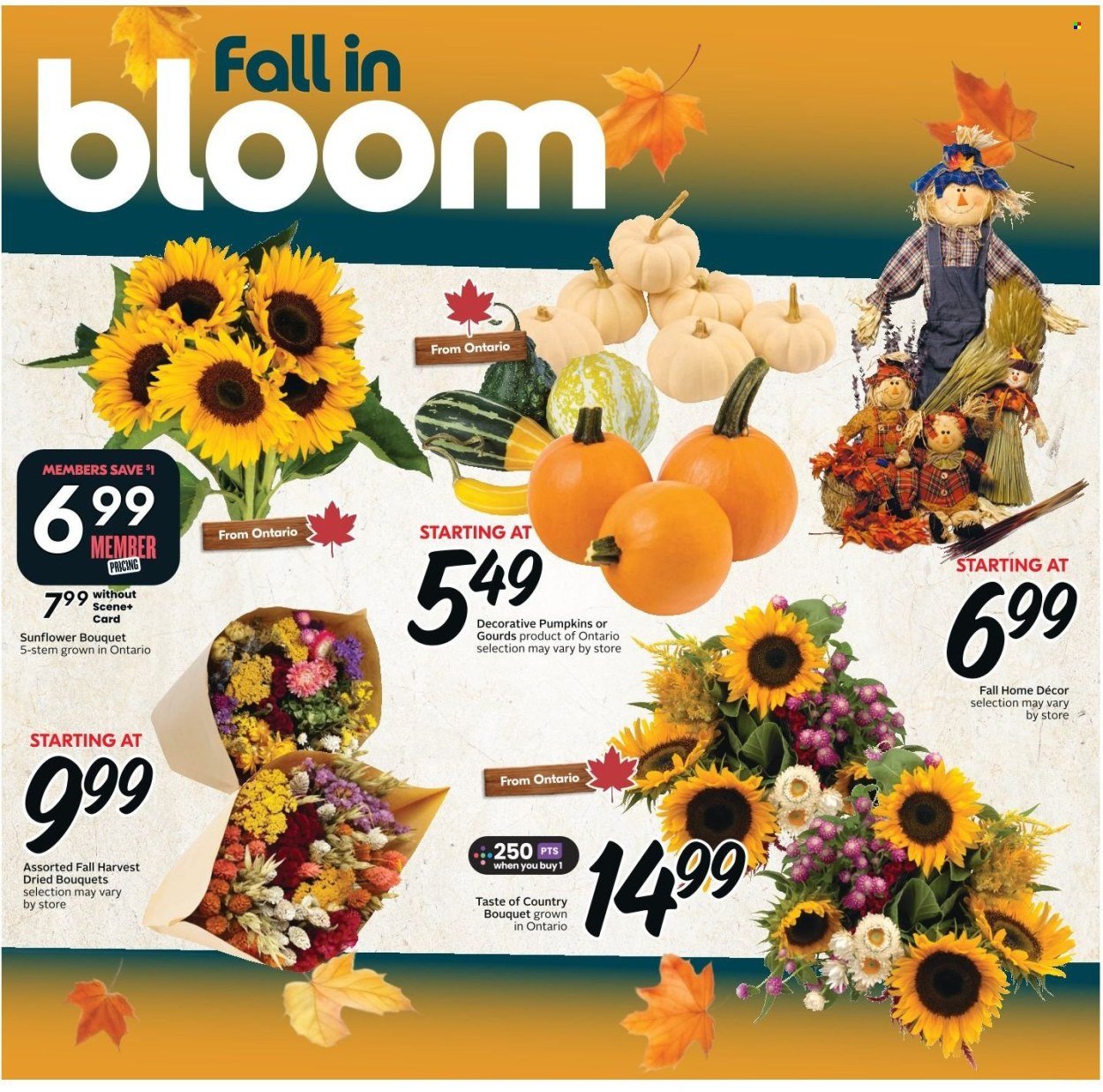 SOBEYS flyer - Weekly eFlyer