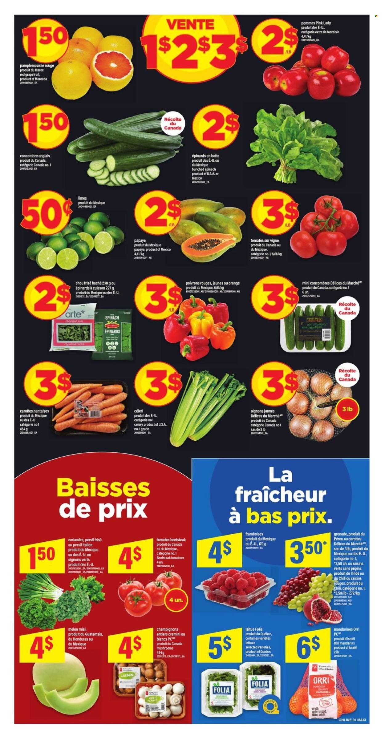 MAXI flyer - Circulaire hebdomadaire (2026-04-09 - 2026-04-15) | 4