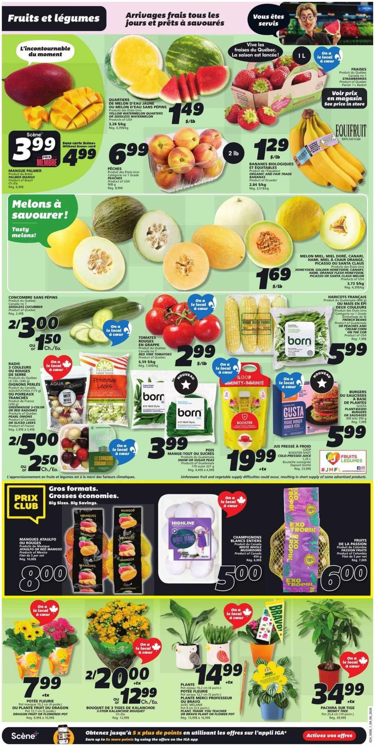 IGA flyer - Weekly eFlyer