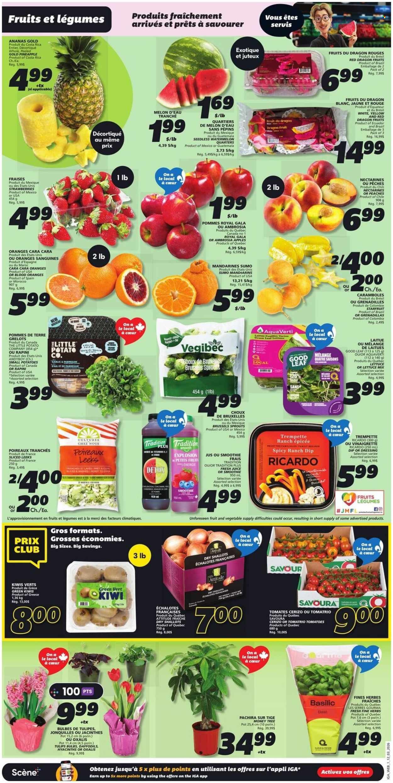 IGA flyer - Weekly eFlyer (2026-03-12 - 2026-03-18) | 3