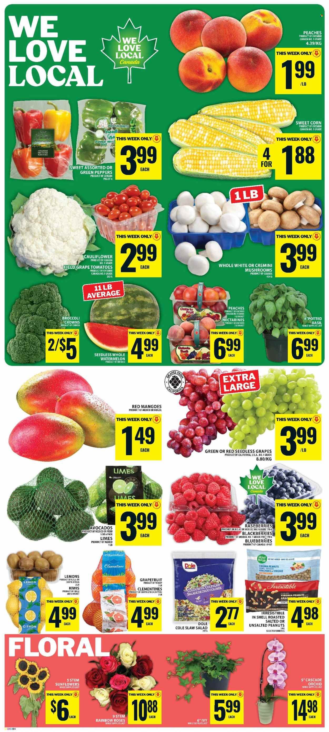 FOOD BASICS flyer - Weekly Flyer