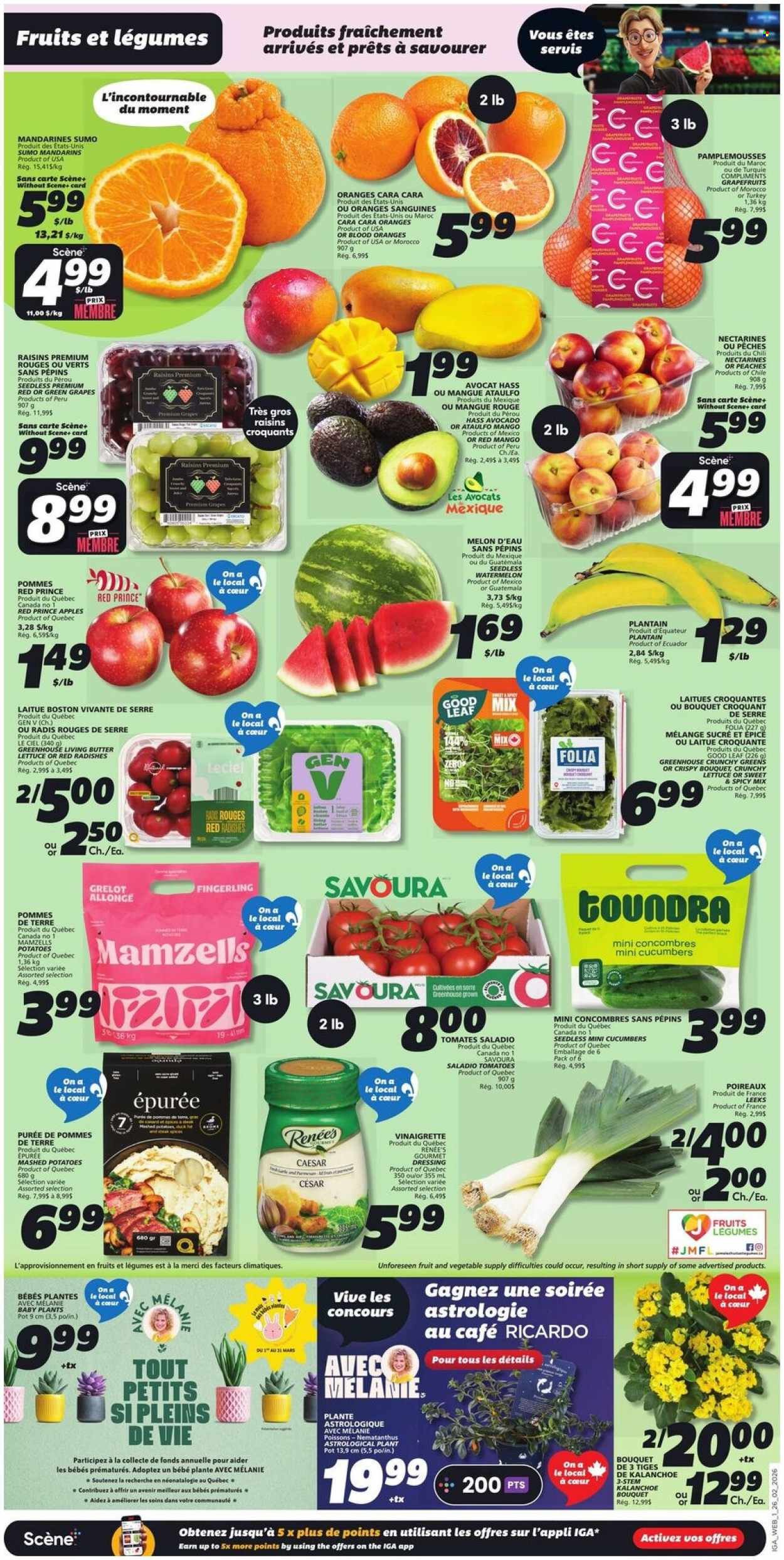 IGA flyer - Weekly eFlyer (2026-02-26 - 2026-03-04) | 3