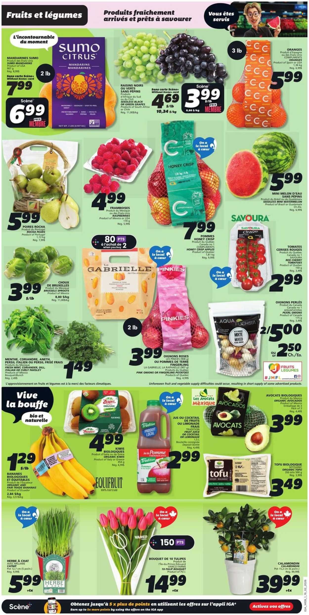IGA flyer - Weekly eFlyer