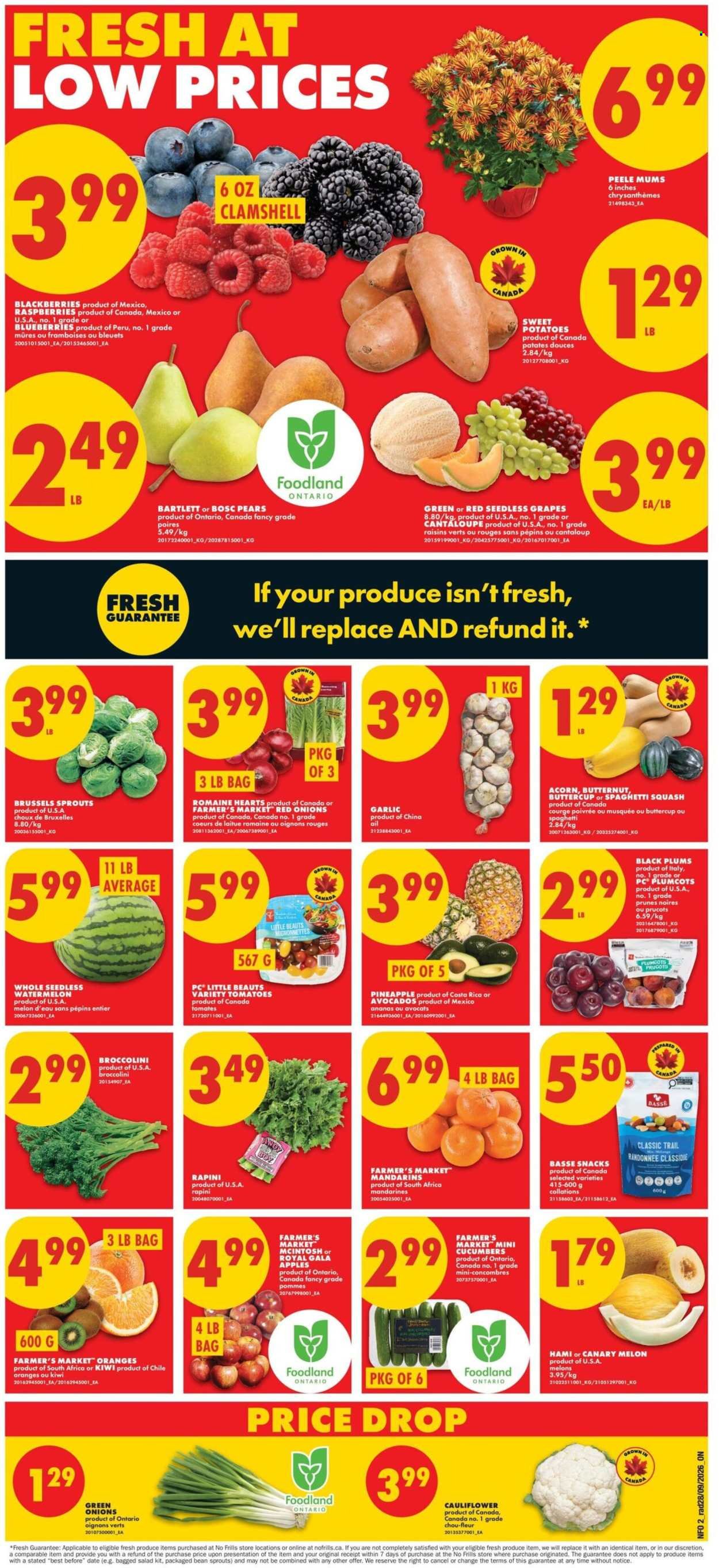 NO FRILLS flyer - Weekly Flyer