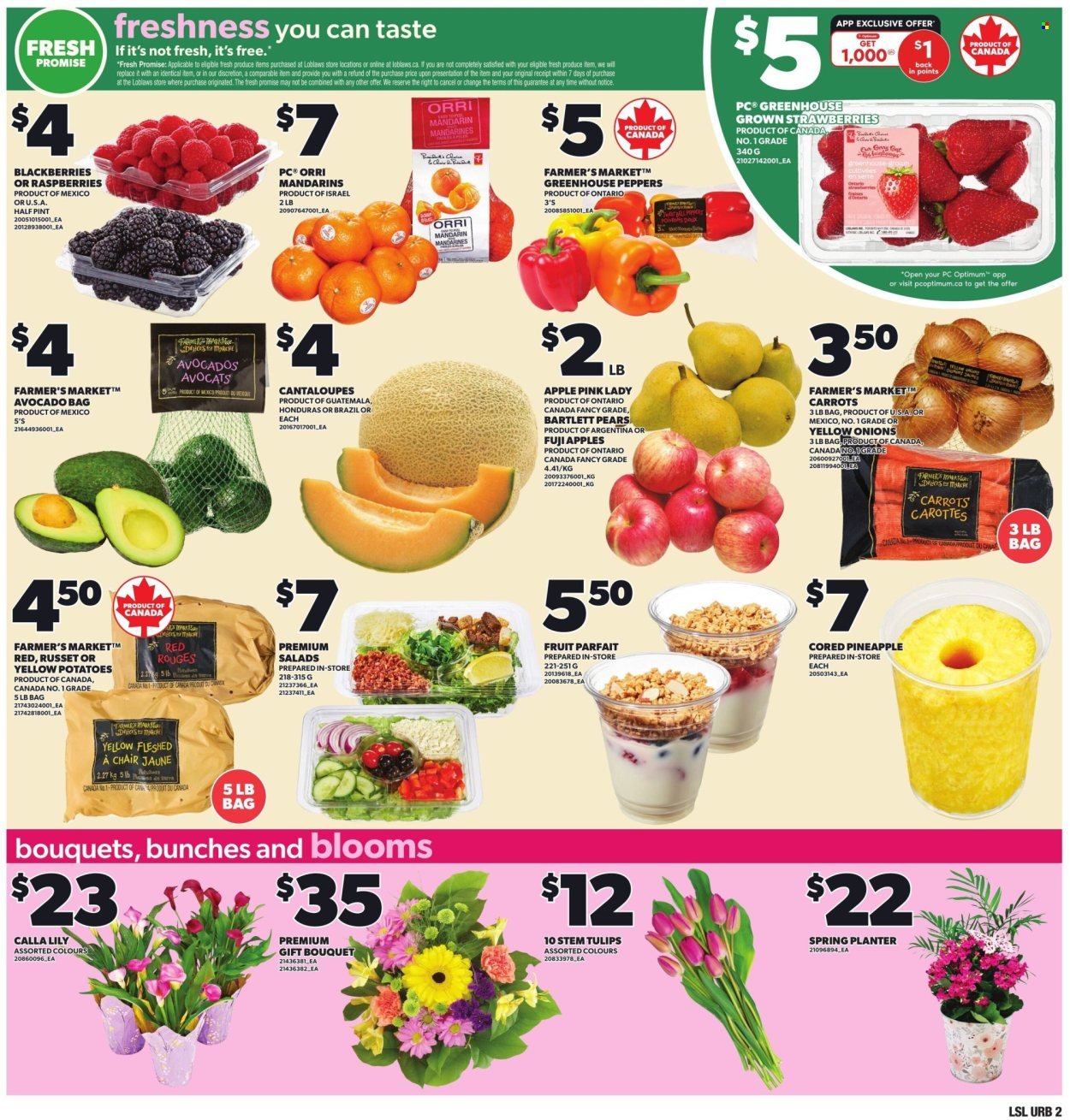 LOBLAWS flyer - Weekly Flyer (2026-04-23 - 2026-04-29) | 3