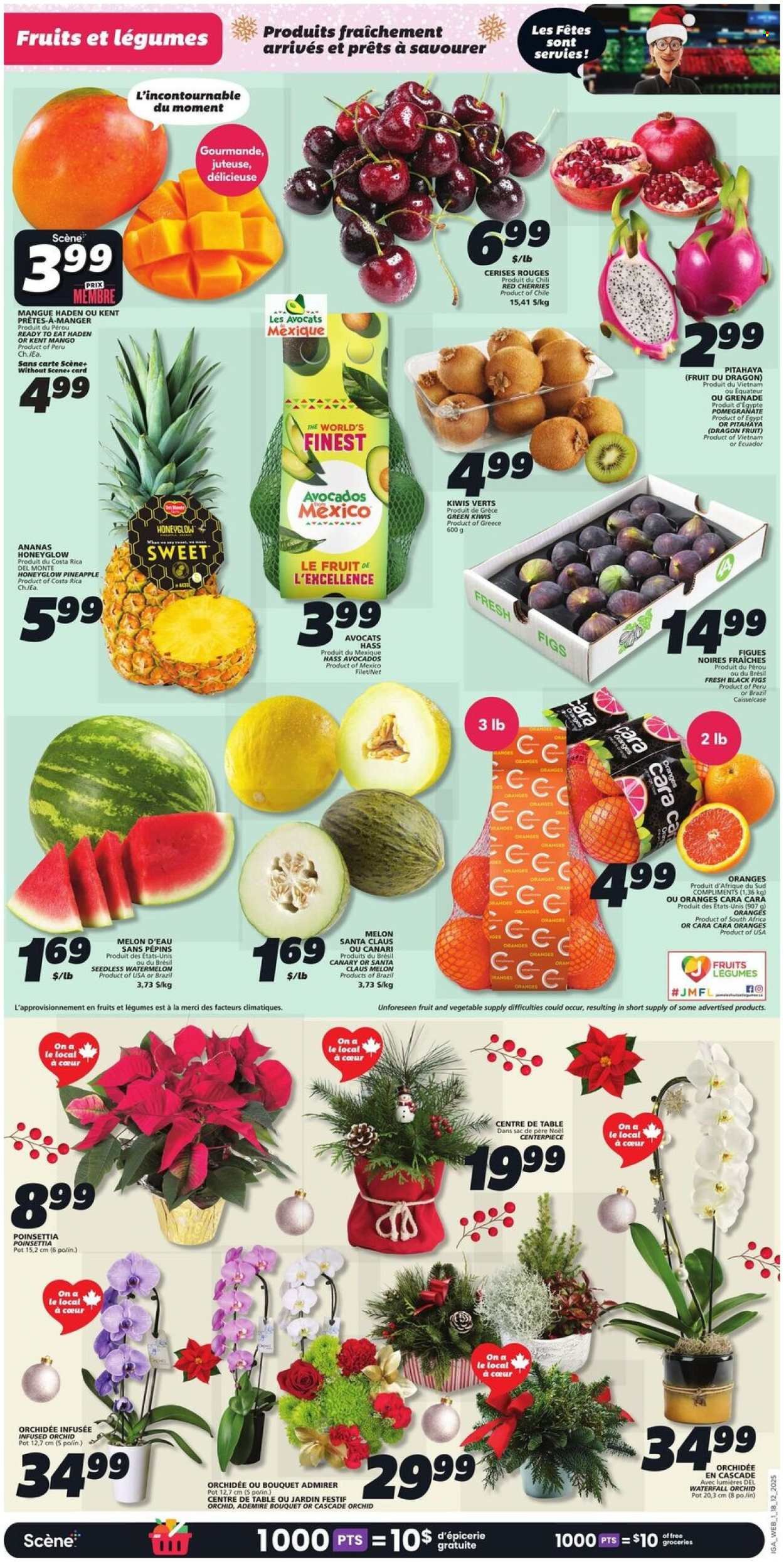 IGA flyer - Weekly eFlyer (2025-12-18 - 2025-12-24) | 5