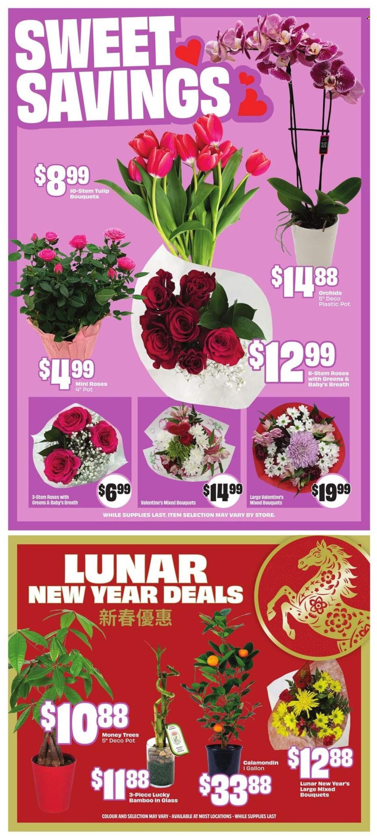 FRESHCO. flyer - Weekly eFlyer (2026-02-05 - 2026-02-11) | 10