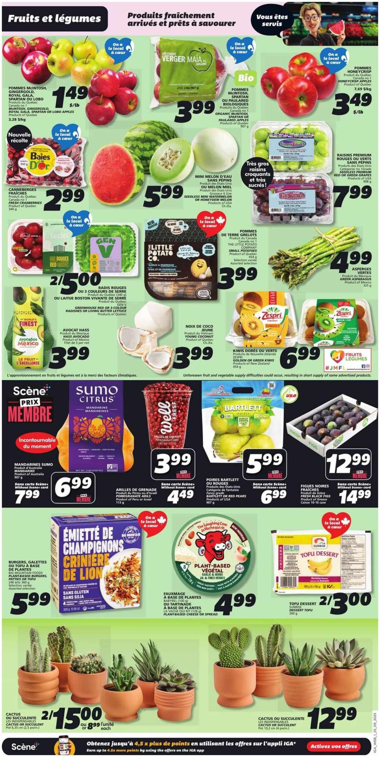IGA flyer - Weekly Flyer