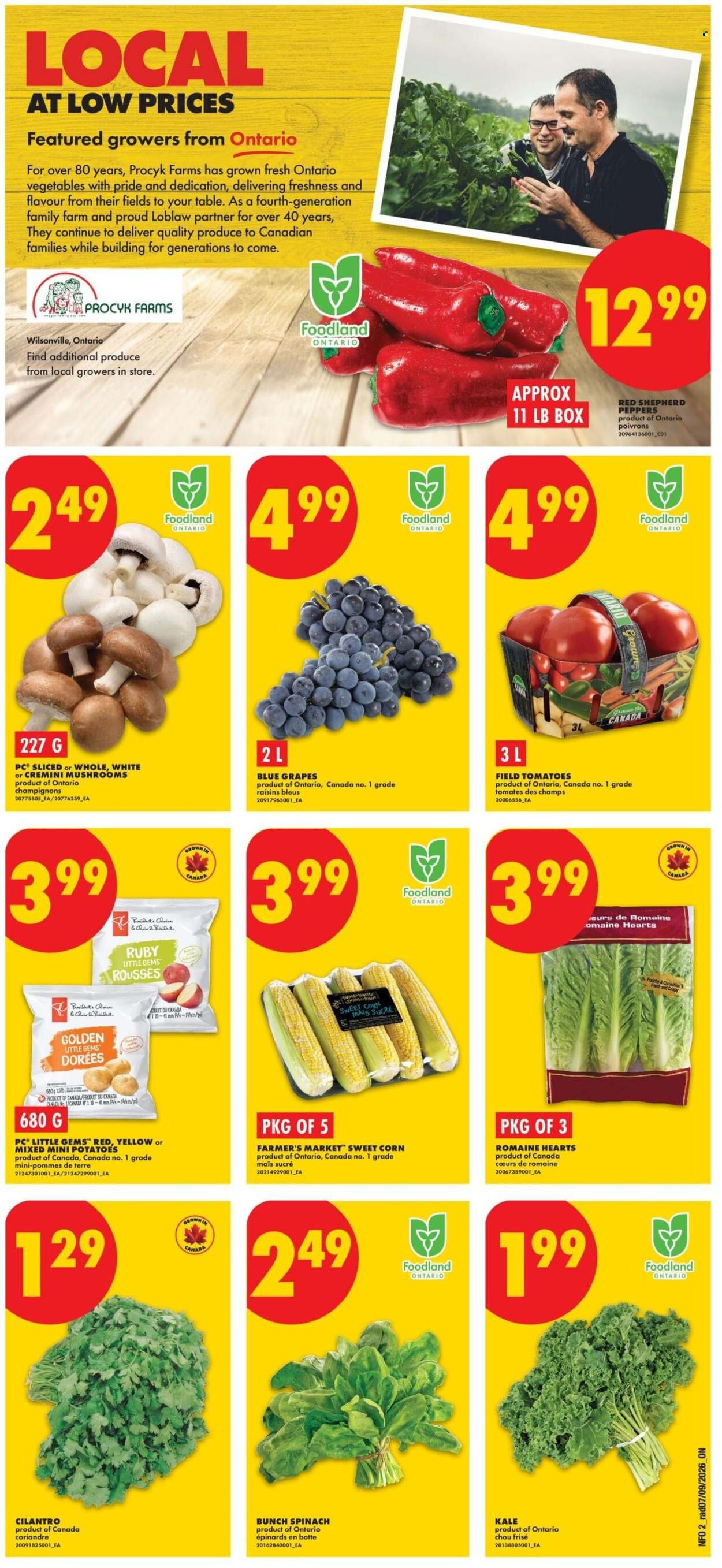 NO FRILLS flyer - Weekly Flyer