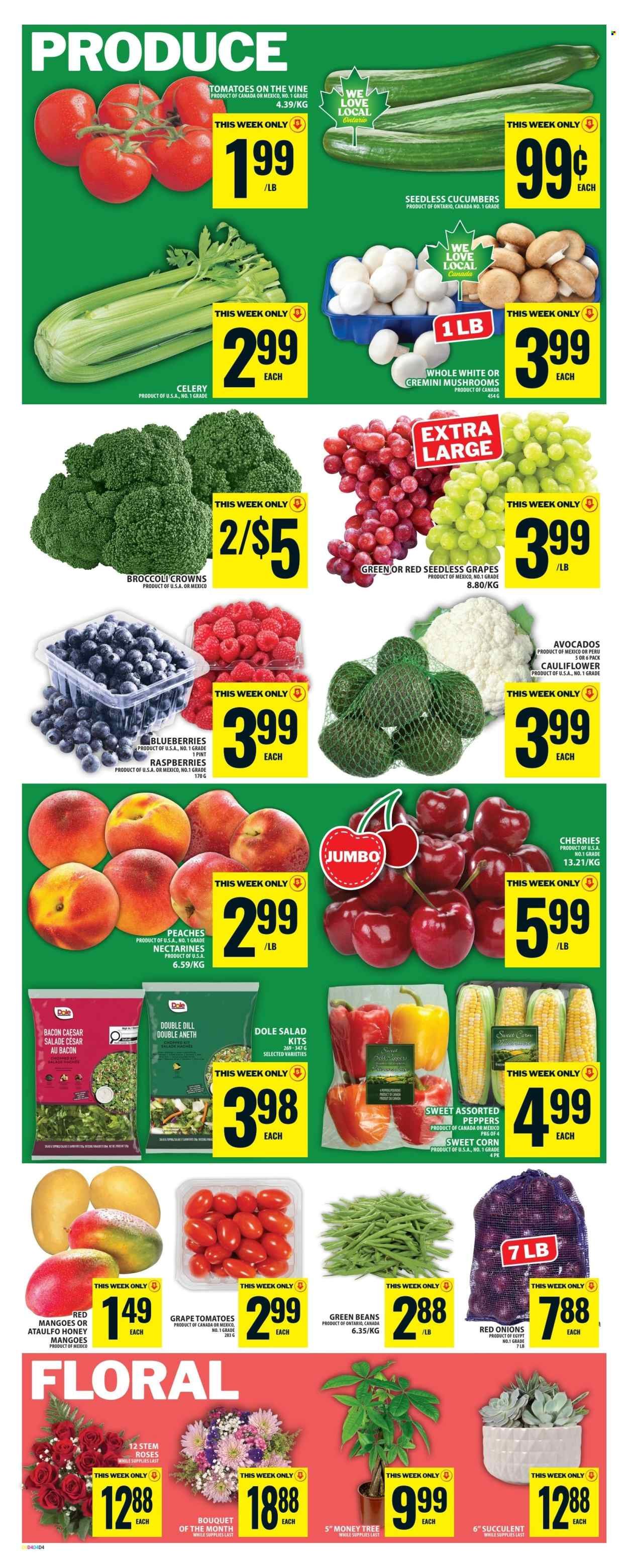 FOOD BASICS flyer - Weekly Flyer