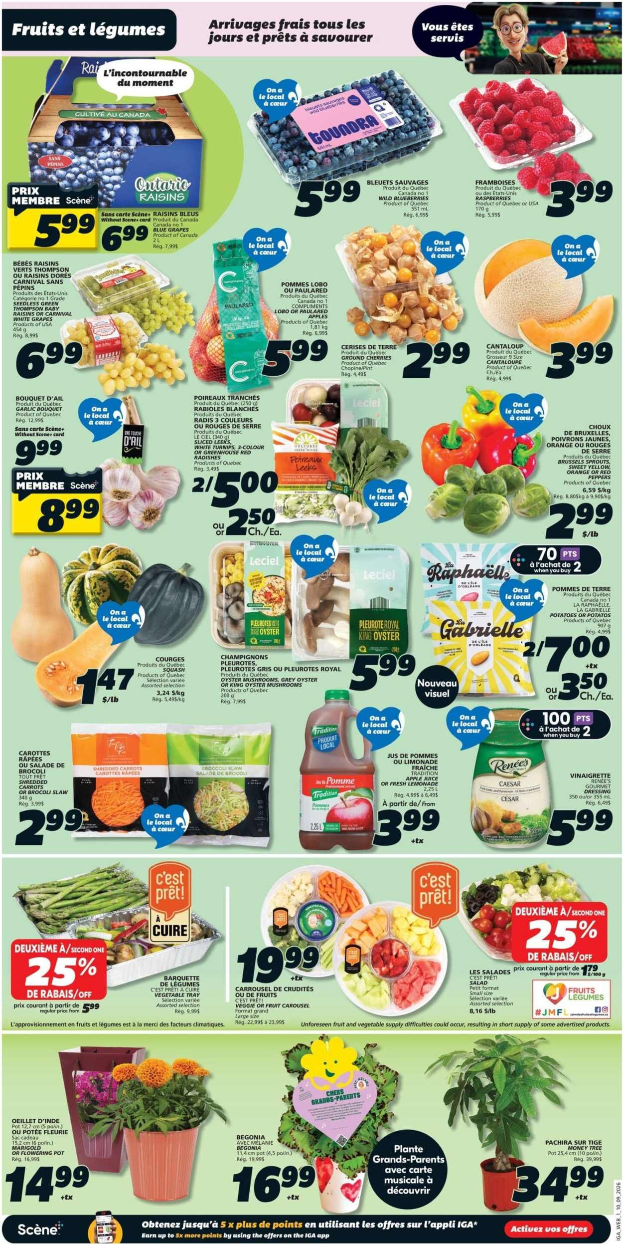 IGA flyer - Weekly eFlyer