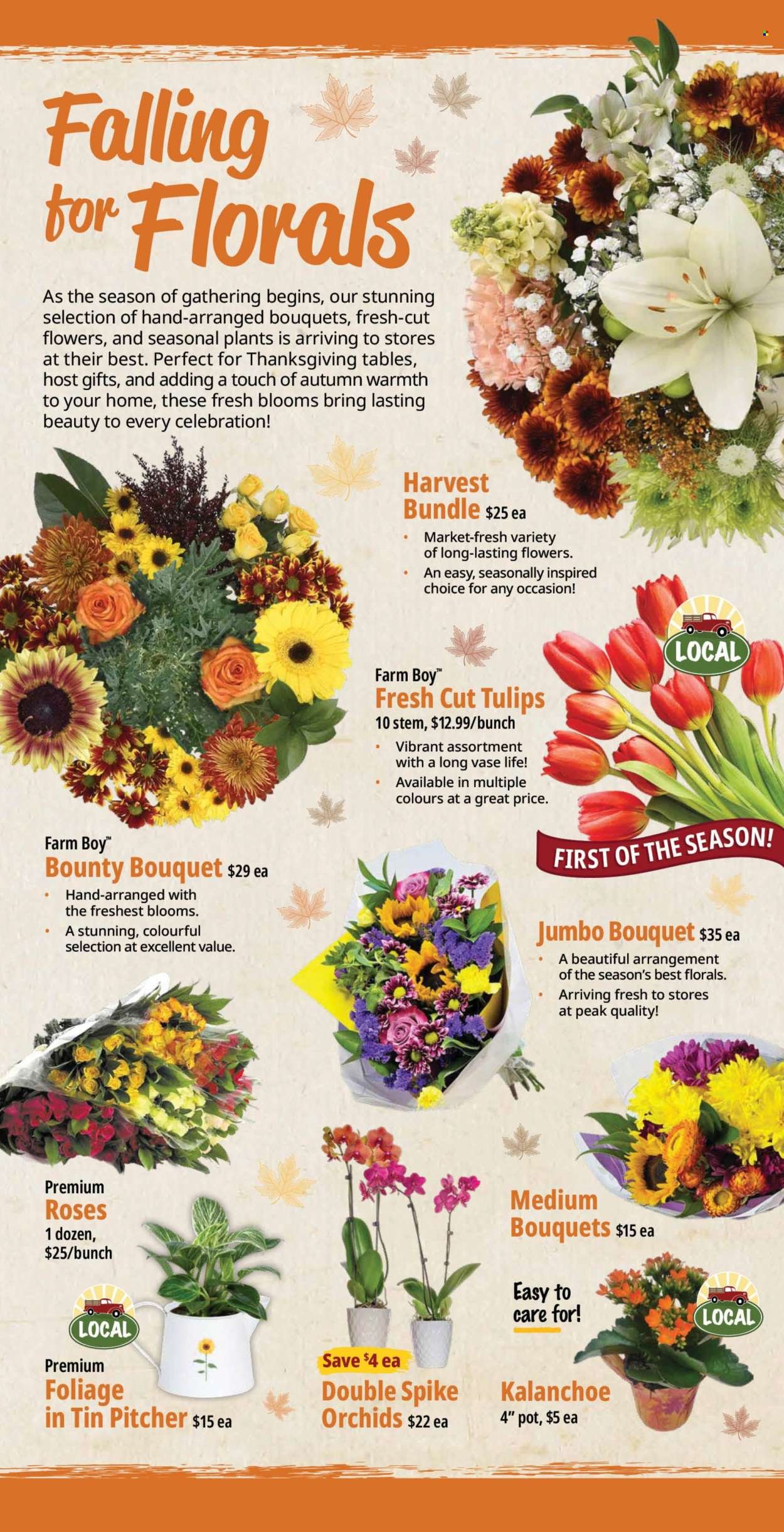 FARM BOY flyer - Weekly Flyer
