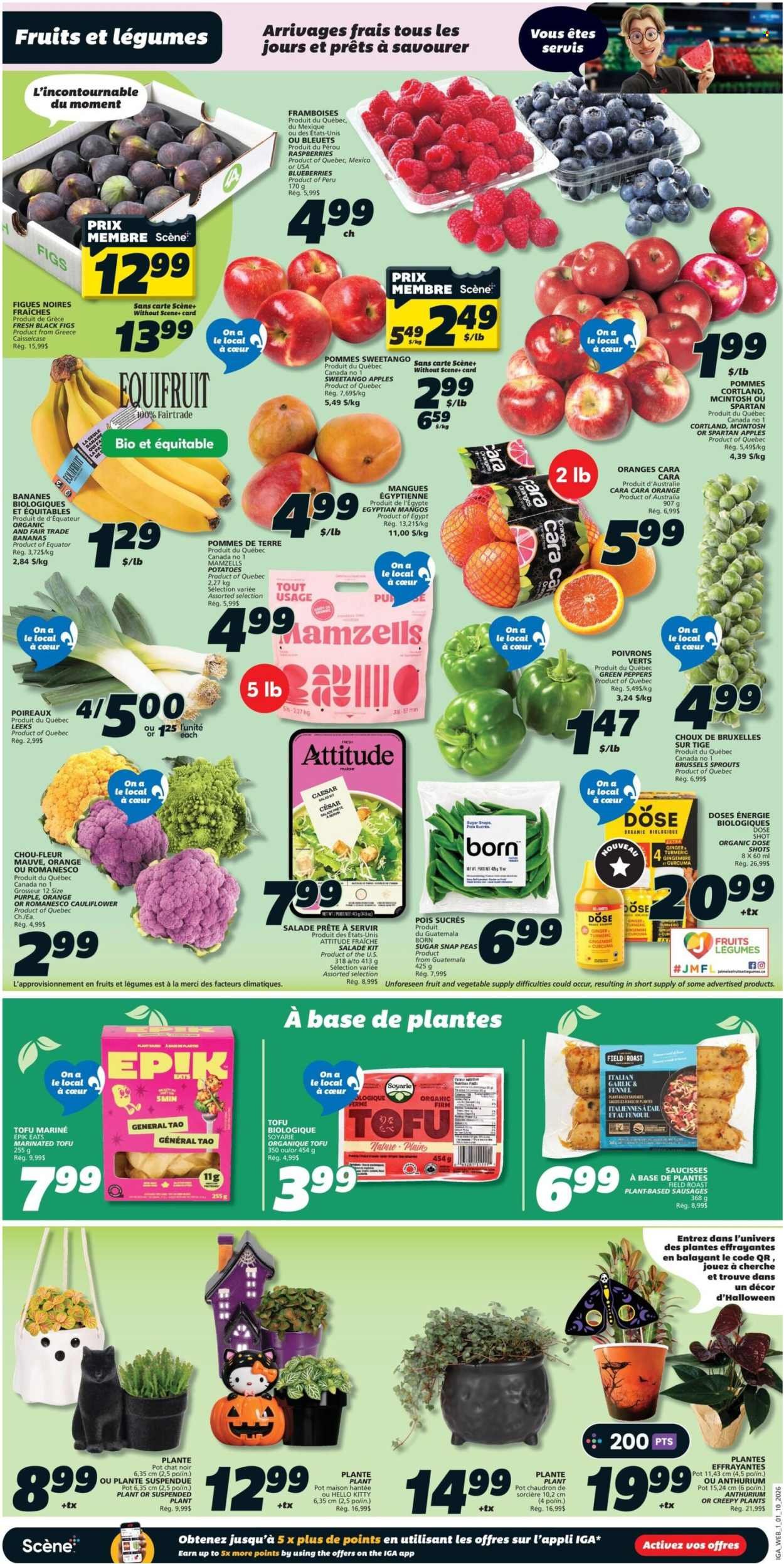 IGA flyer - Weekly eFlyer