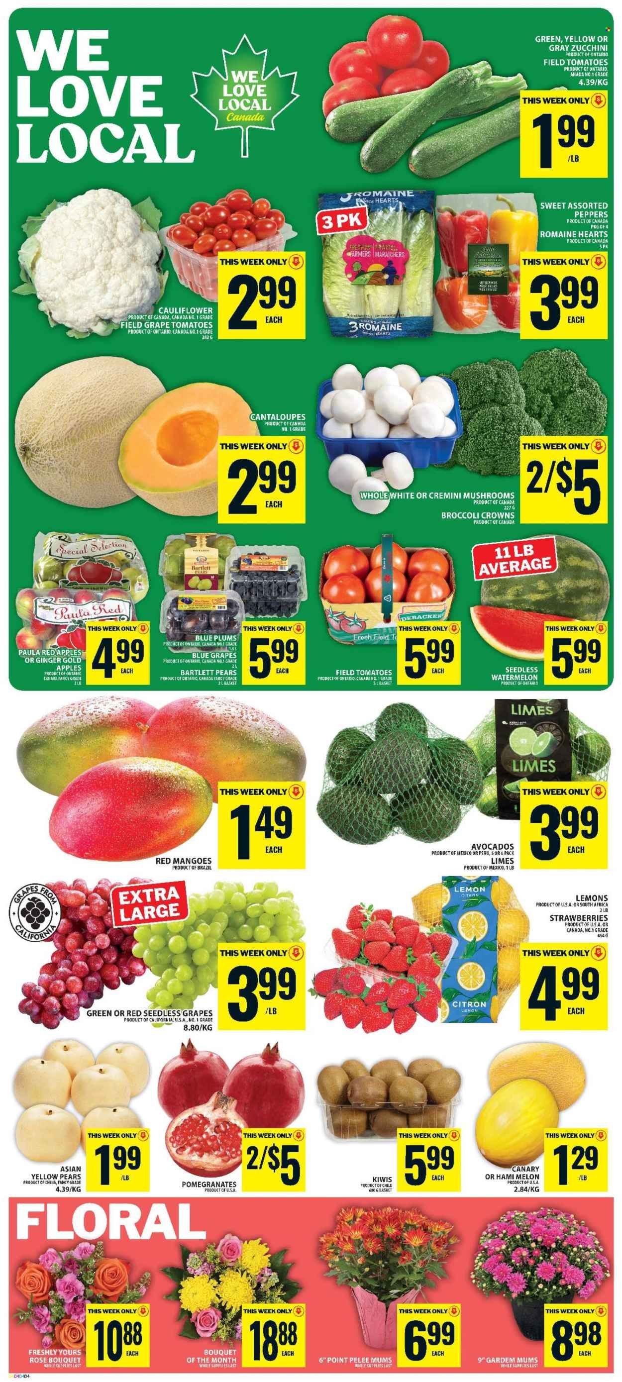 FOOD BASICS flyer - Weekly Flyer