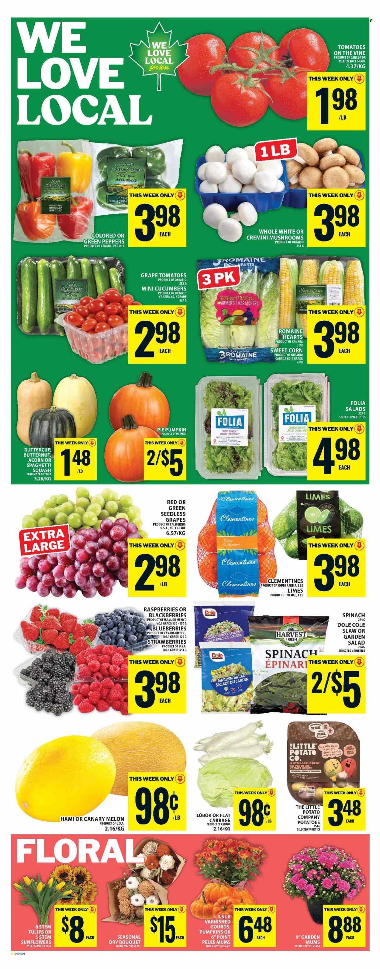 FOOD BASICS flyer - Diwali Digital Specialty Flyer