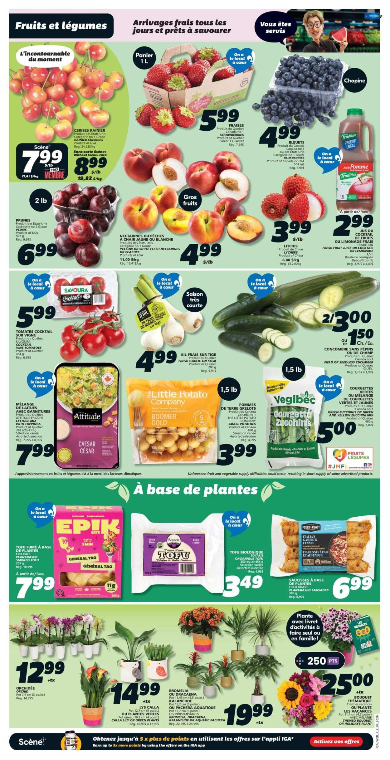 IGA flyer - Weekly eFlyer