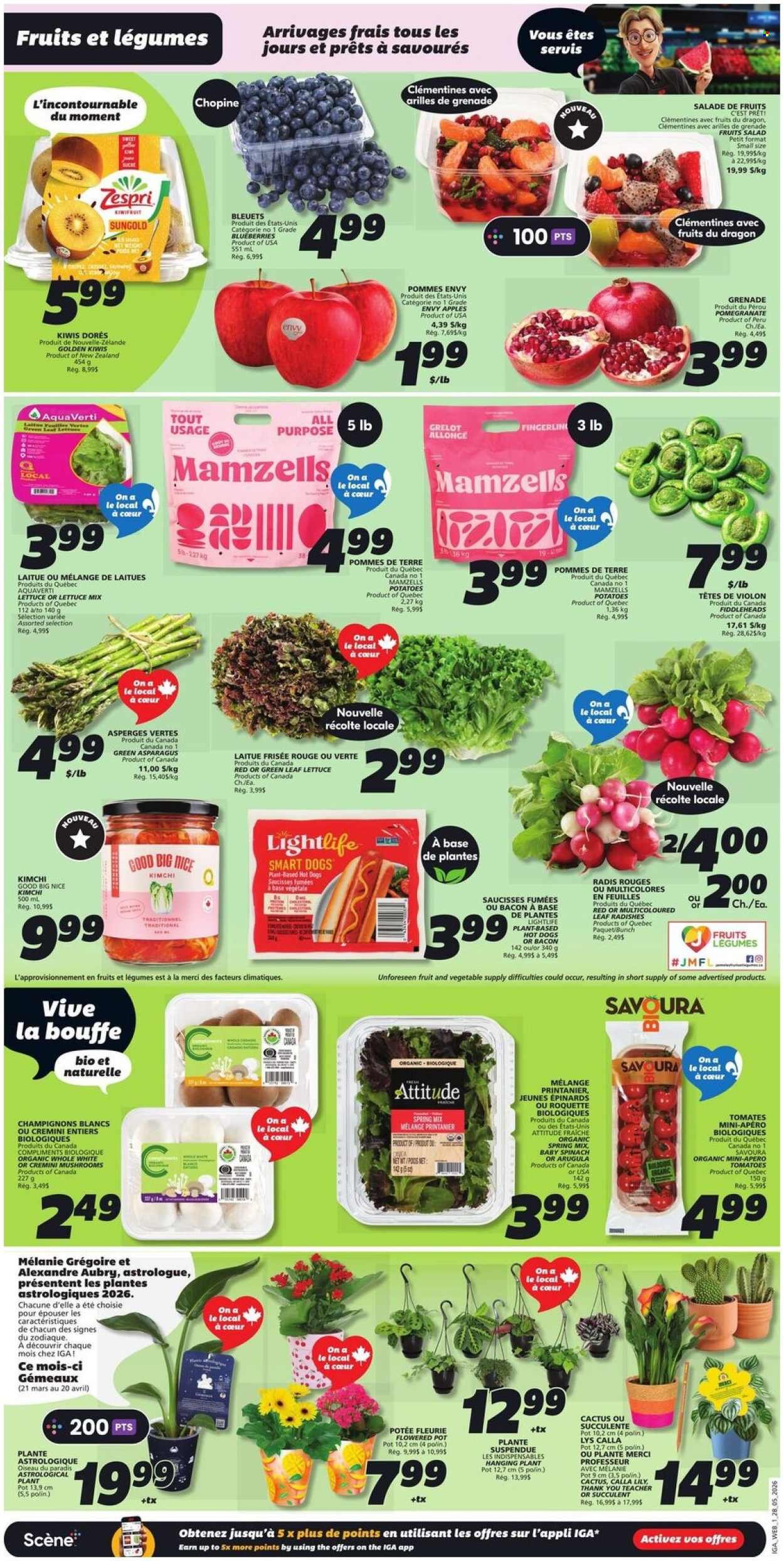 IGA flyer - Weekly eFlyer