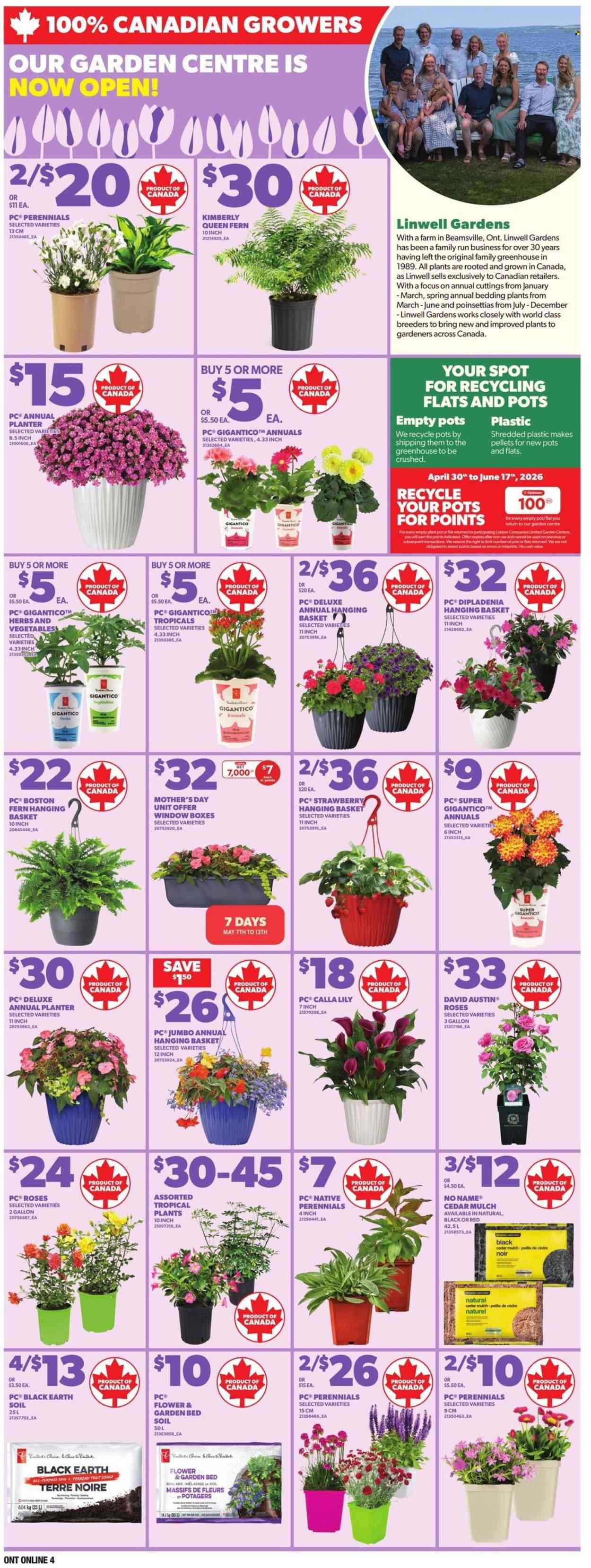 LOBLAWS flyer - Weekly Flyer