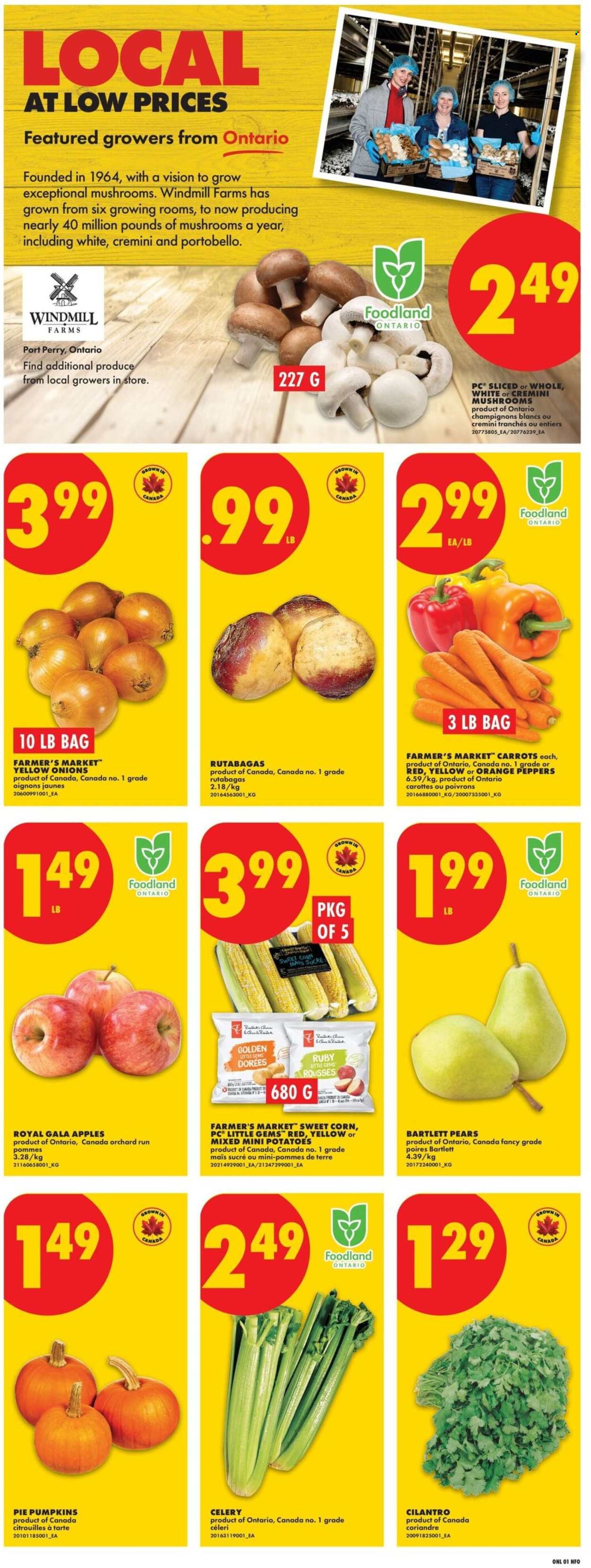 NO FRILLS flyer - Weekly Flyer