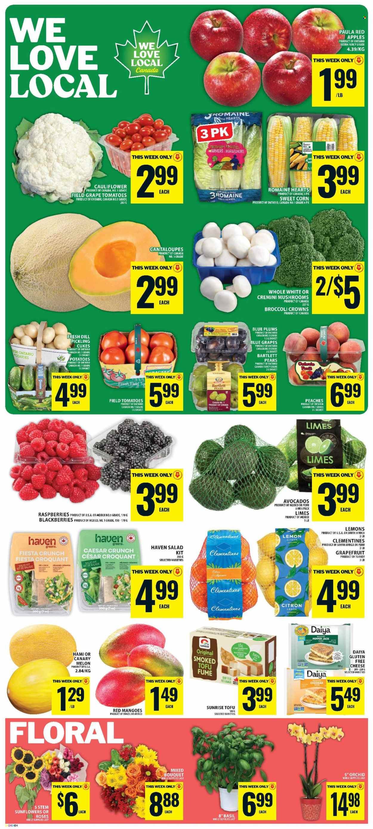FOOD BASICS flyer - Weekly Flyer