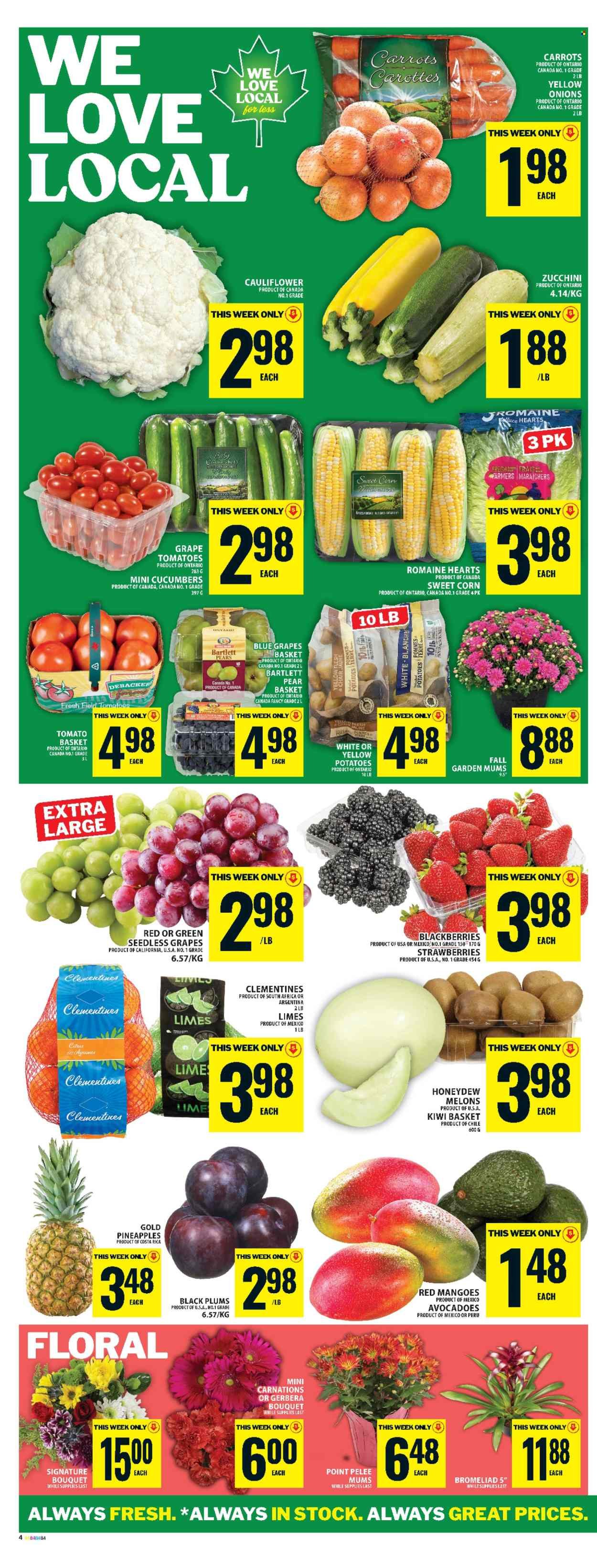 FOOD BASICS flyer - Weekly Flyer
