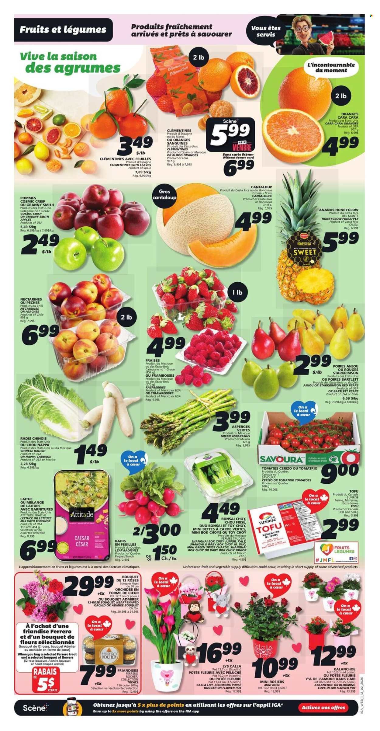 IGA flyer - Weekly eFlyer (2026-02-12 - 2026-02-18) | 3