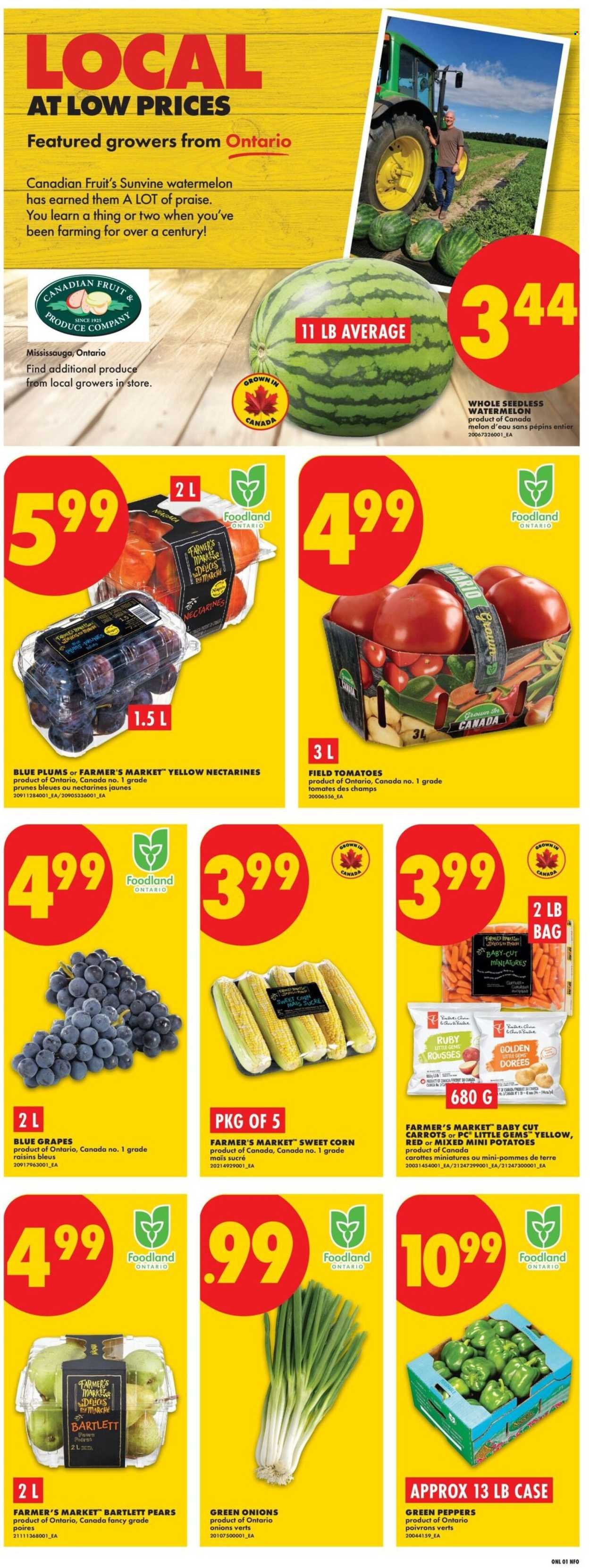 NO FRILLS flyer - Weekly Flyer