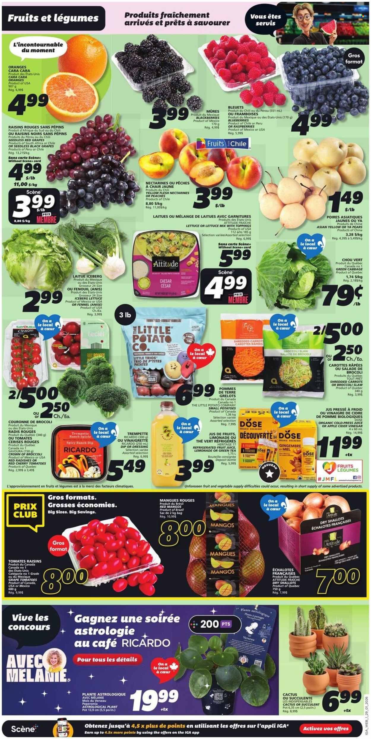 IGA flyer - Weekly eFlyer