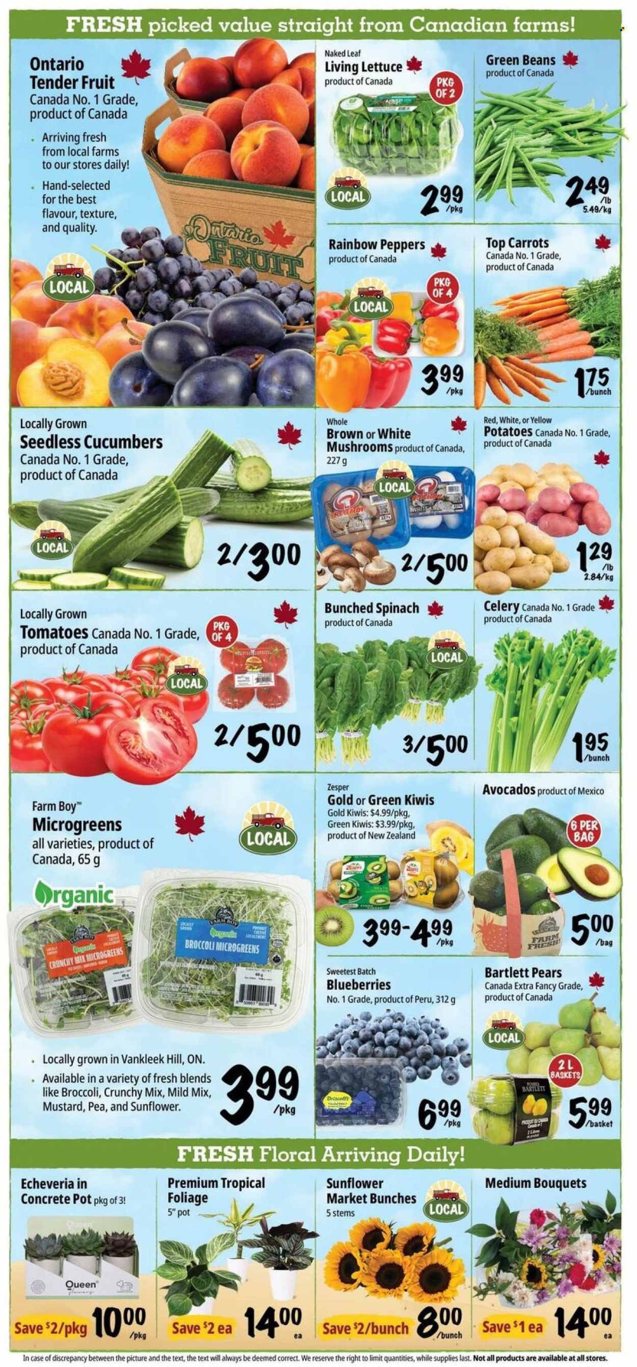 FARM BOY flyer - Weekly Flyer