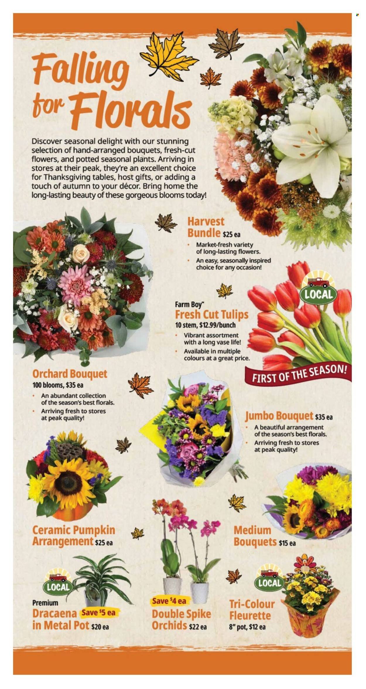 FARM BOY flyer - Weekly Flyer