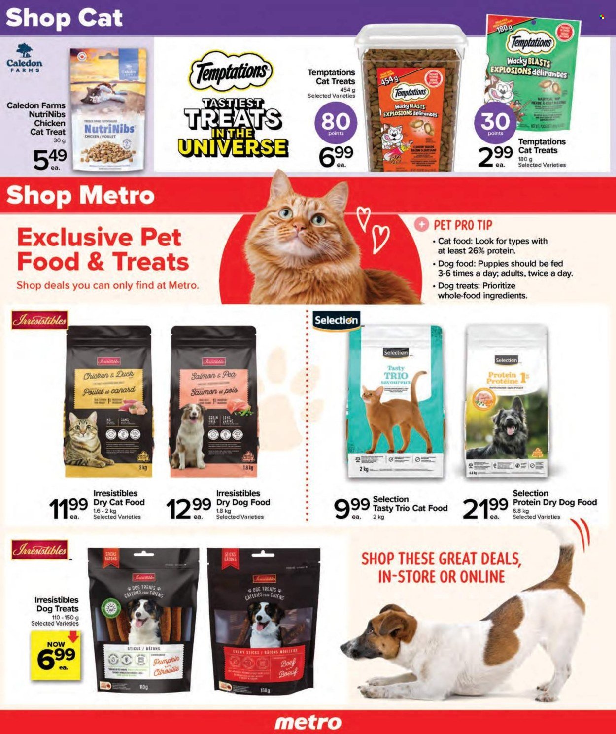 METRO flyer - Pet Digest Digital Specialty Flyer