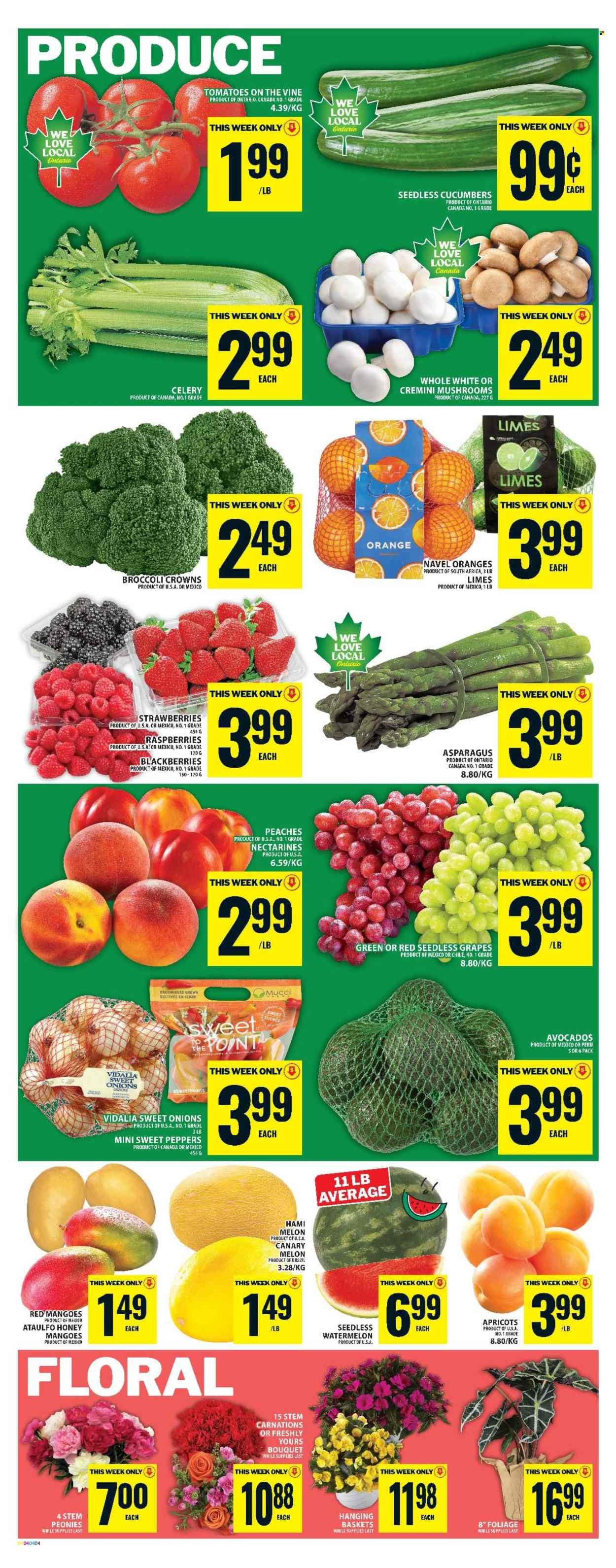 FOOD BASICS flyer - Weekly Flyer