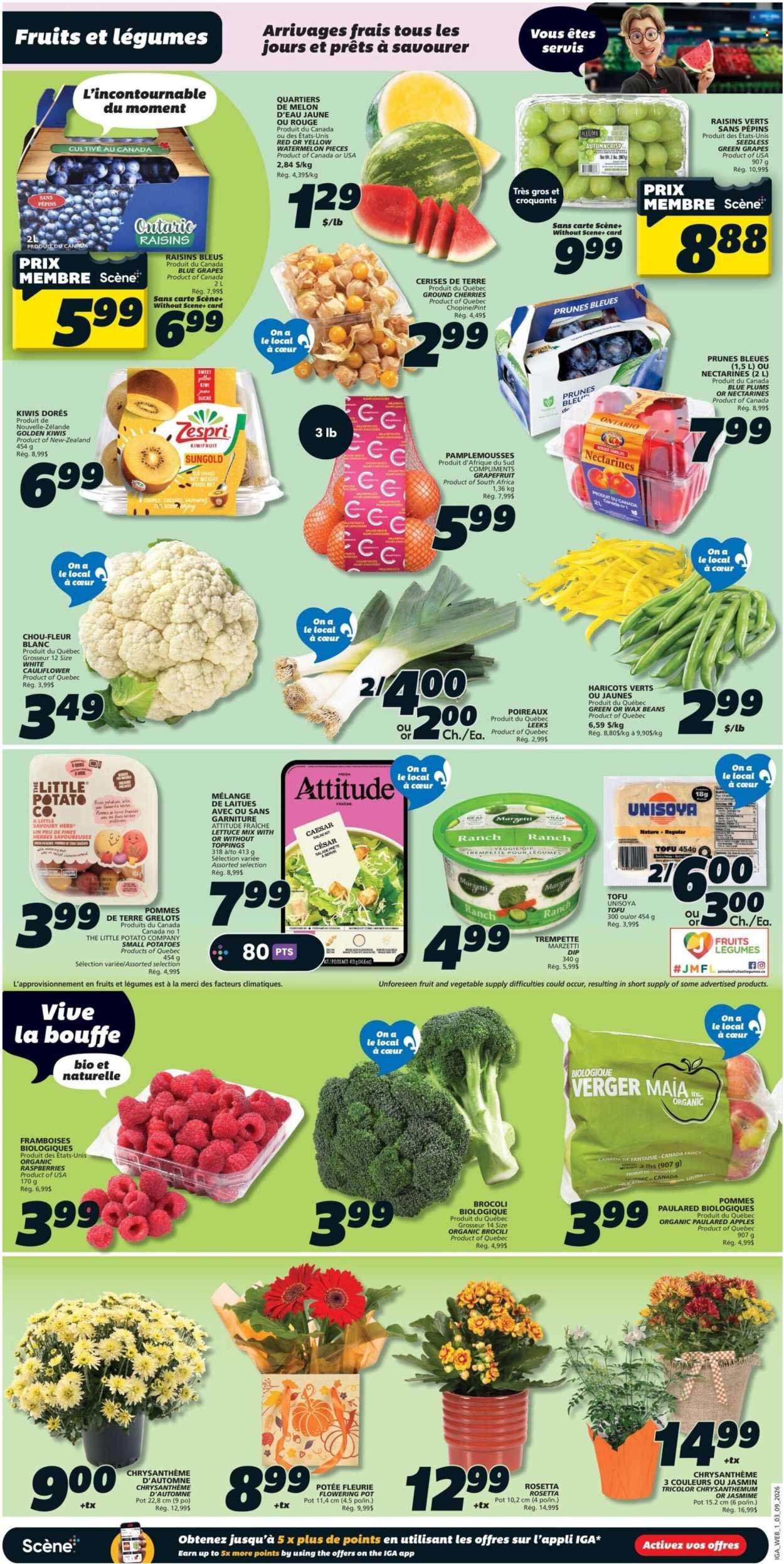 IGA flyer - Weekly eFlyer