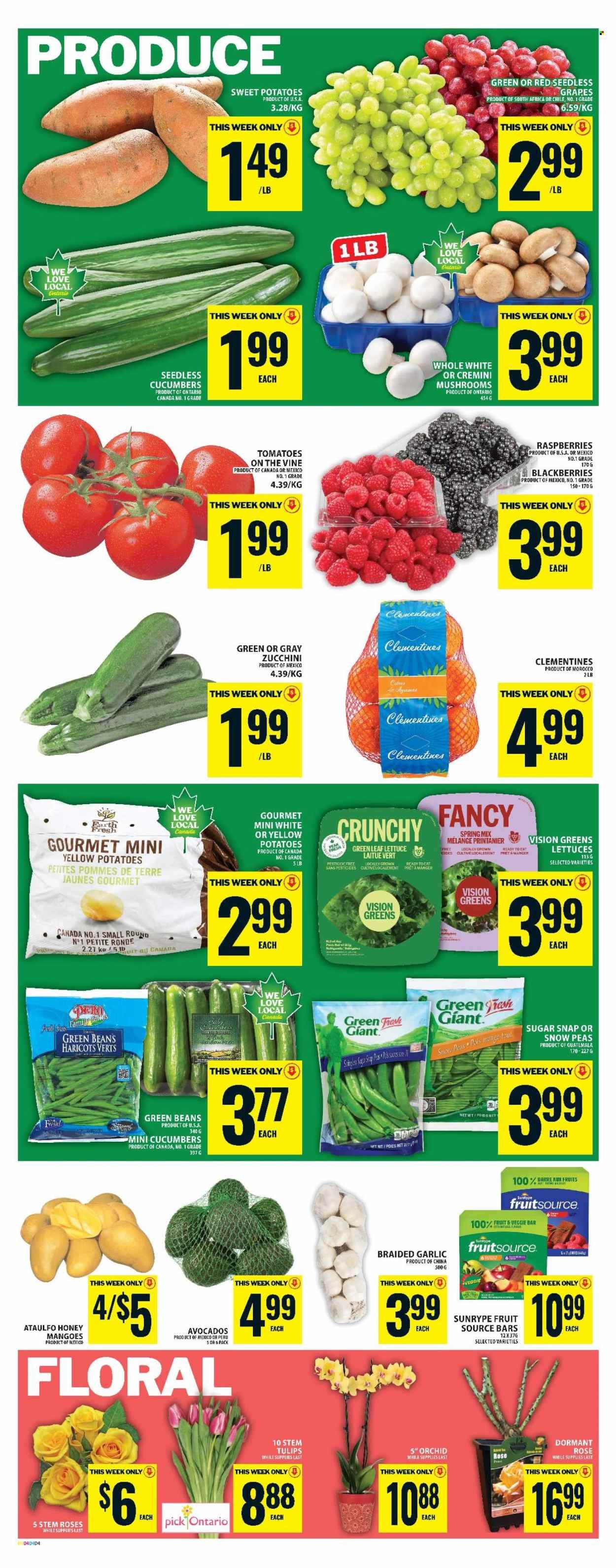 FOOD BASICS flyer - Weekly Flyer (2026-04-16 - 2026-04-22) | 6