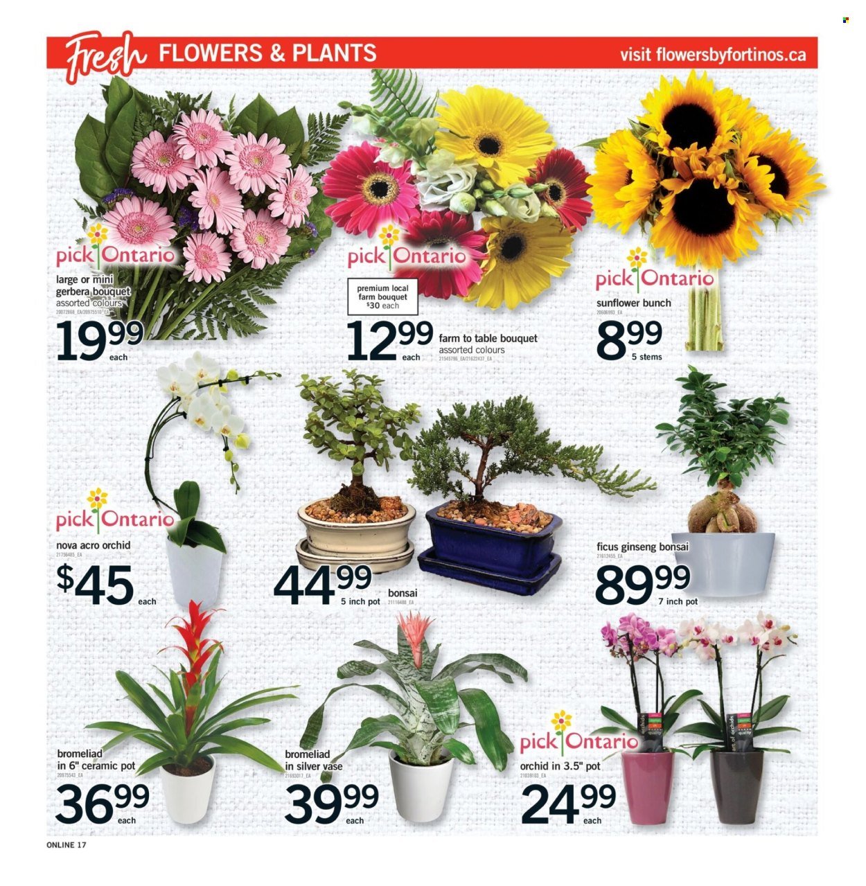 FORTINOS flyer - Weekly Flyer