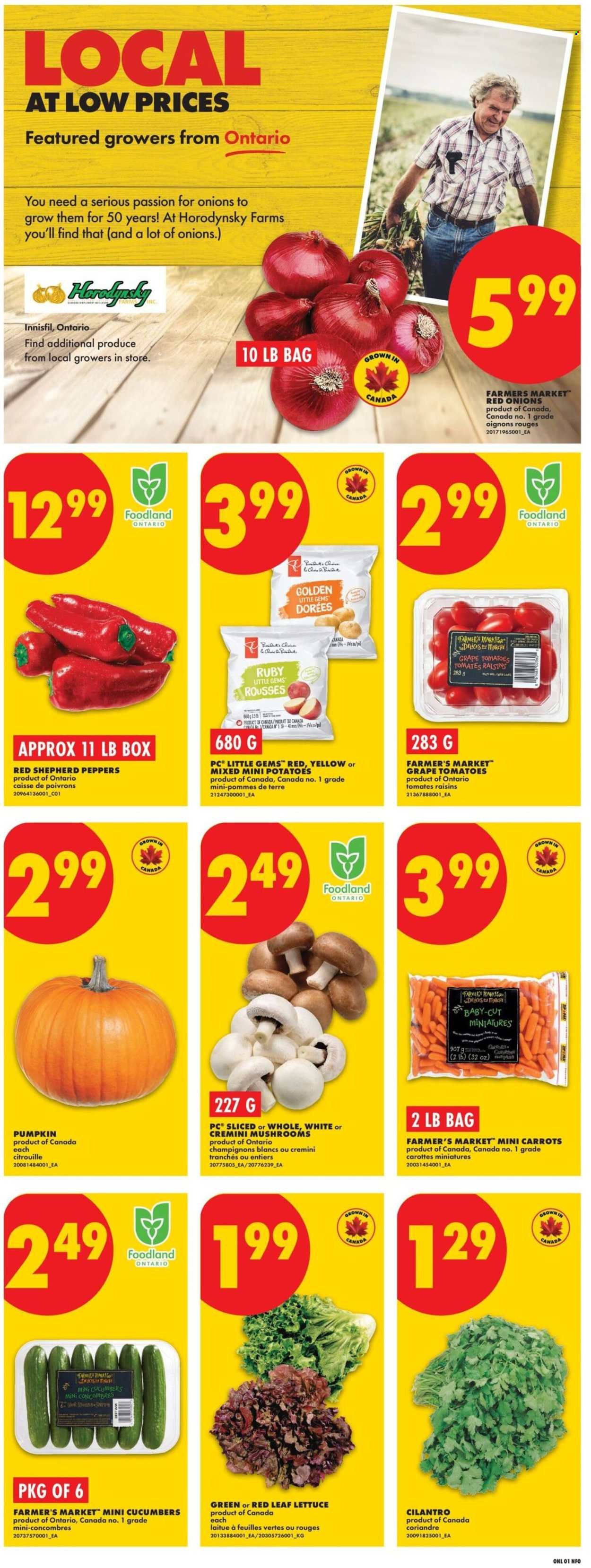NO FRILLS flyer - Weekly Flyer