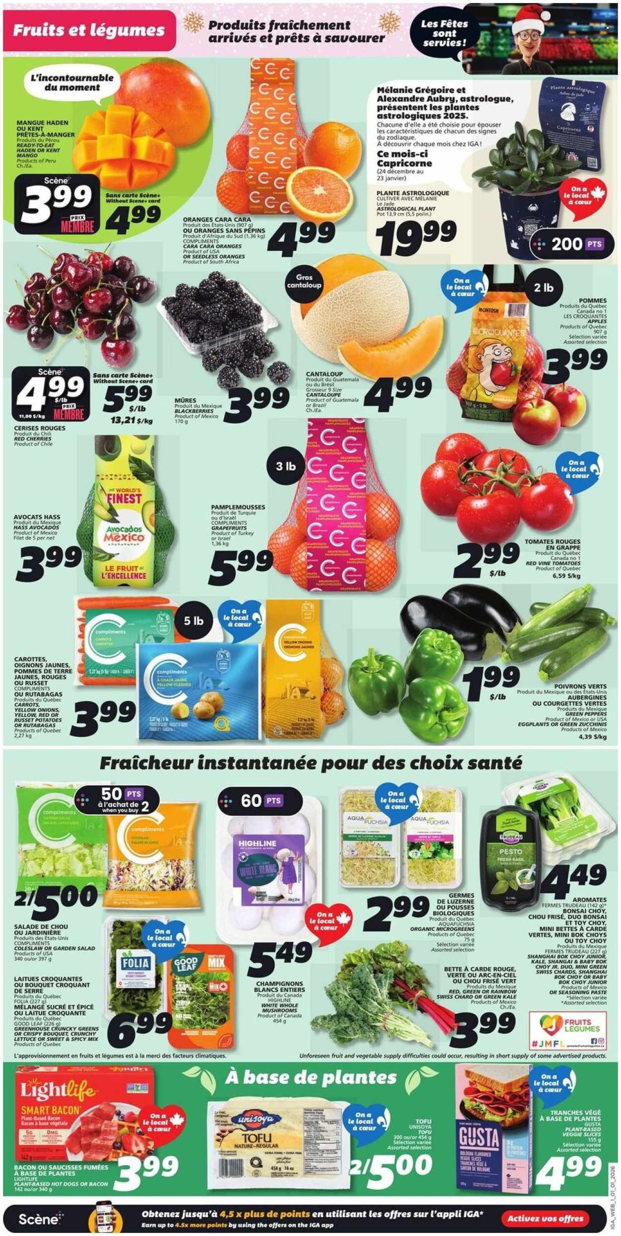 IGA flyer - Weekly Flyer (2026-01-01 - 2026-01-07) | 3