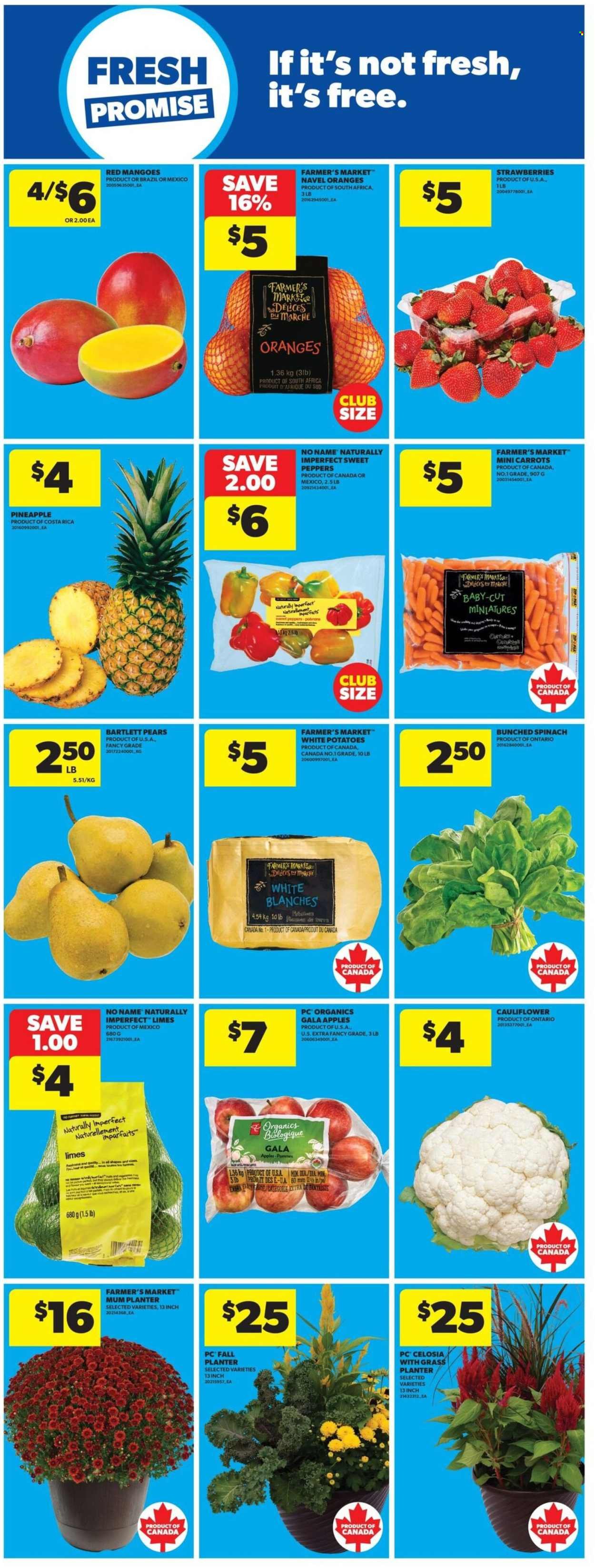 REAL CANADIAN SUPERSTORE flyer - Weekly Flyer