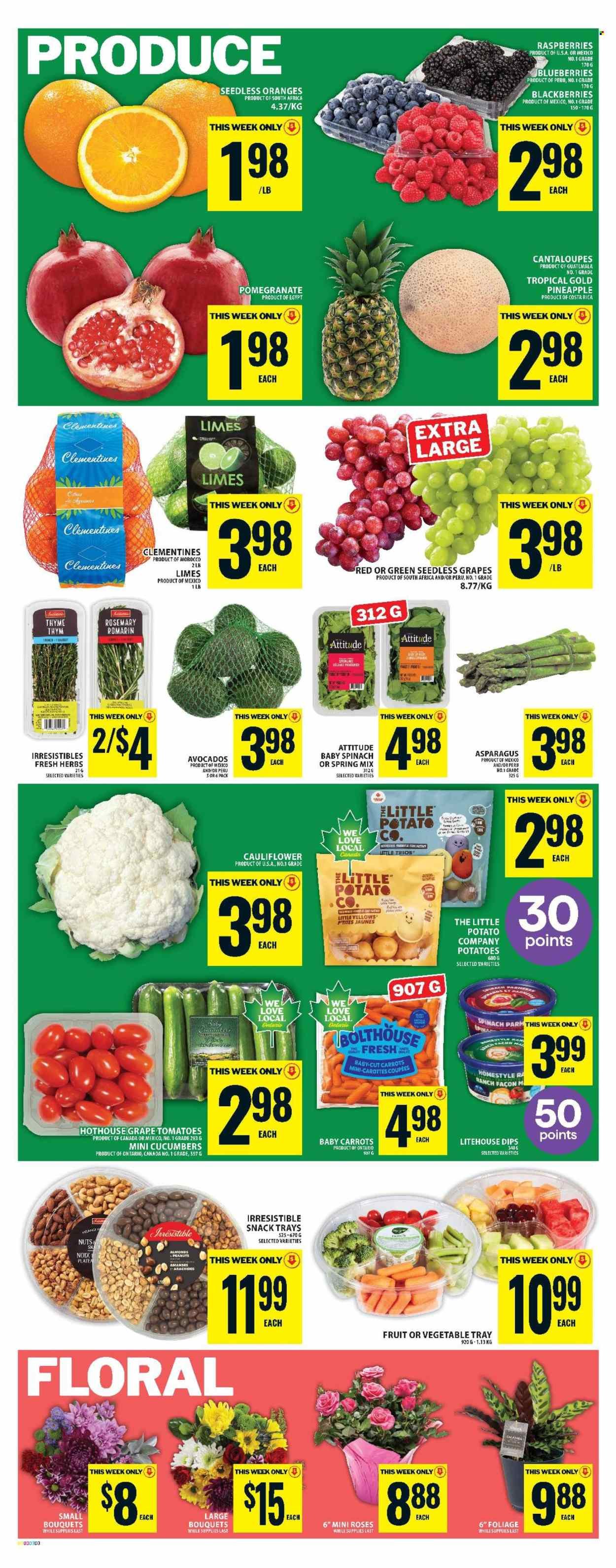FOOD BASICS flyer - Weekly Flyer (2025-12-25 - 2025-12-31) | 4