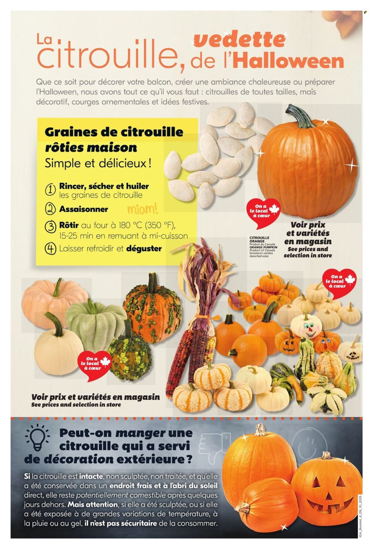 IGA flyer - Autumn