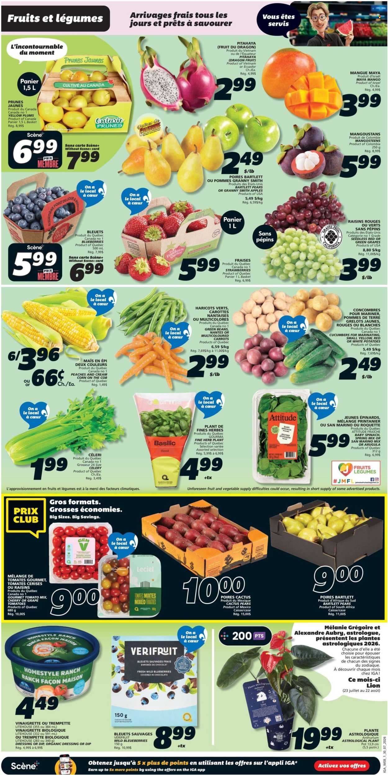 IGA flyer - Weekly eFlyer