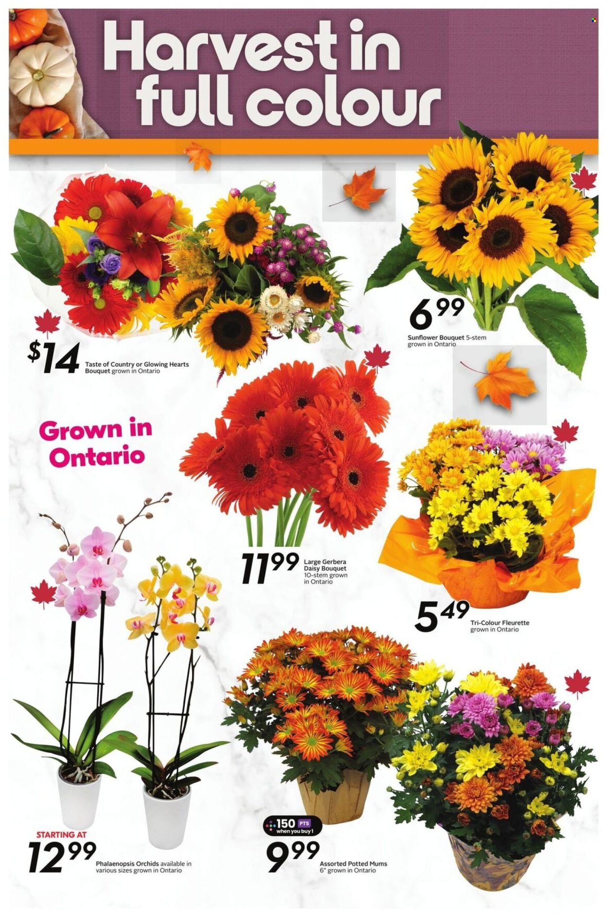 SOBEYS flyer - Weekly eFlyer