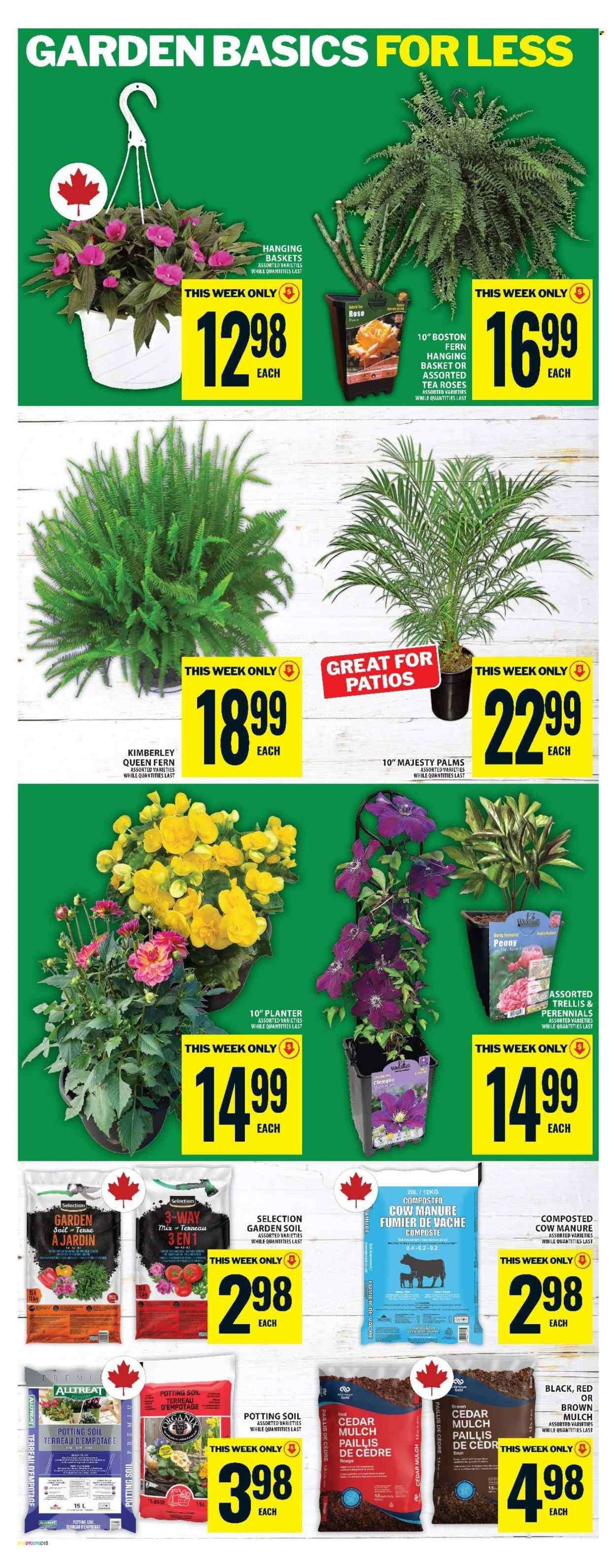FOOD BASICS flyer - Weekly Flyer (2026-05-21 - 2026-05-27) | 16
