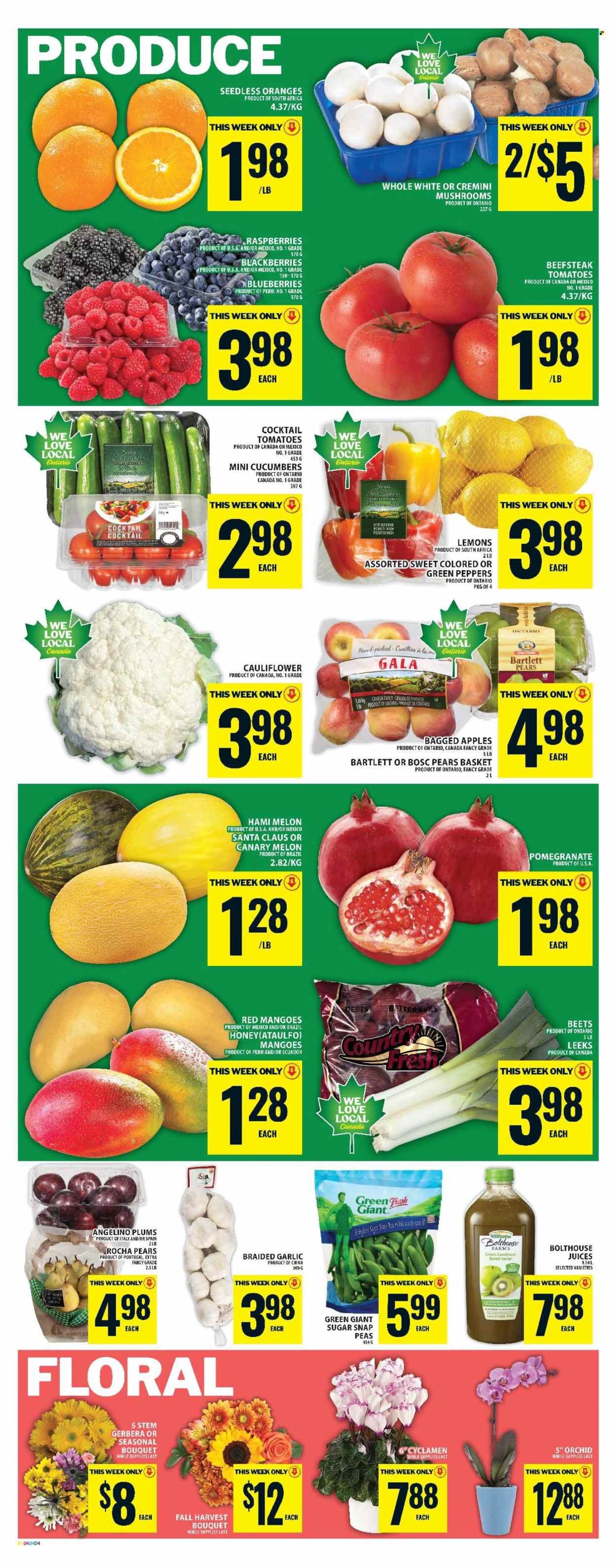 FOOD BASICS flyer - Weekly Flyer