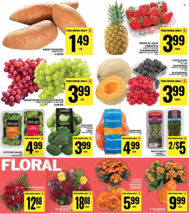 FOOD BASICS flyer - Weekly Flyer