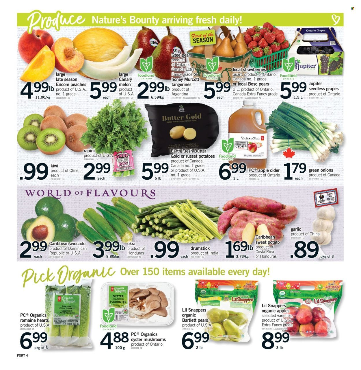FORTINOS flyer - Weekly Flyer