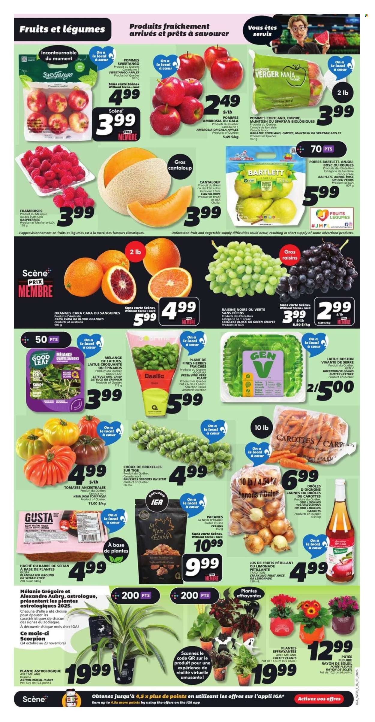 IGA flyer - Weekly eFlyer